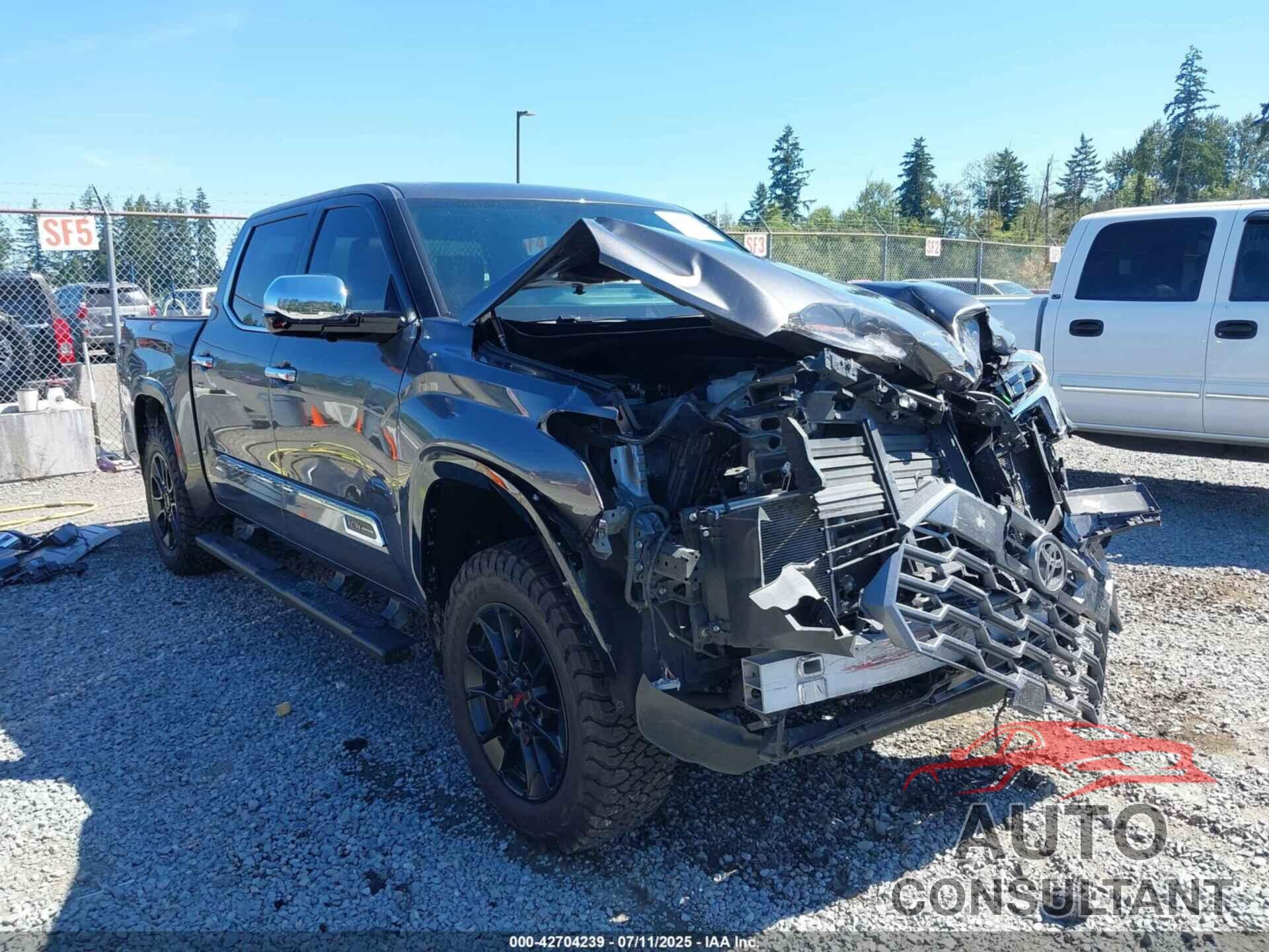 TOYOTA TUNDRA 2024 - 5TFMA5DB2RX138330