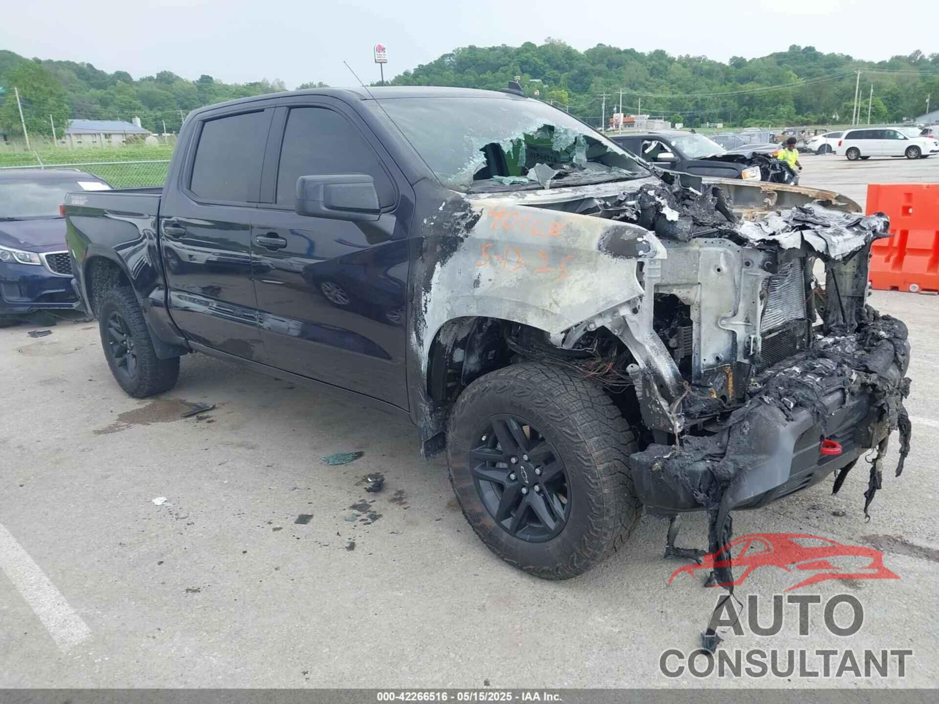 CHEVROLET SILVERADO 1500 2024 - 3GCUDFE82RG327029