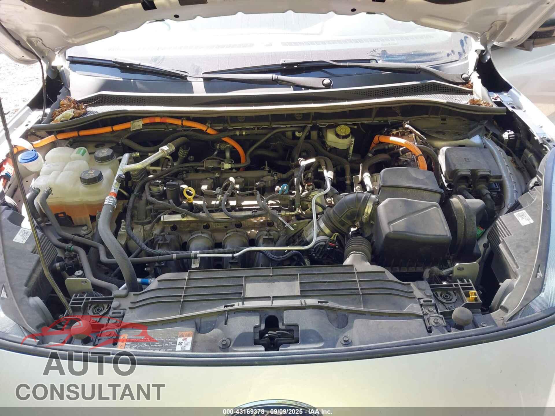 FORD ESCAPE 2020 - 1FMCU9BZ6LUA61864