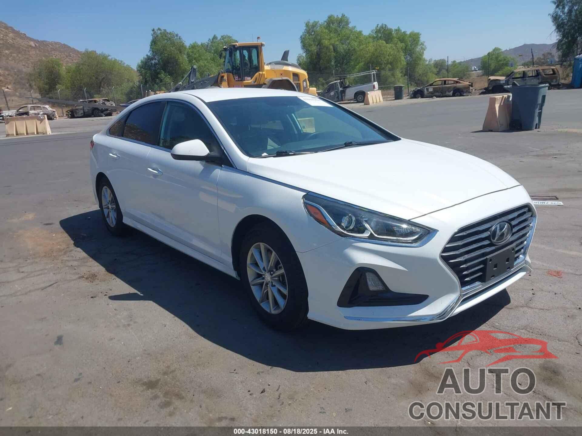 HYUNDAI SONATA 2019 - 5NPE24AF3KH756938