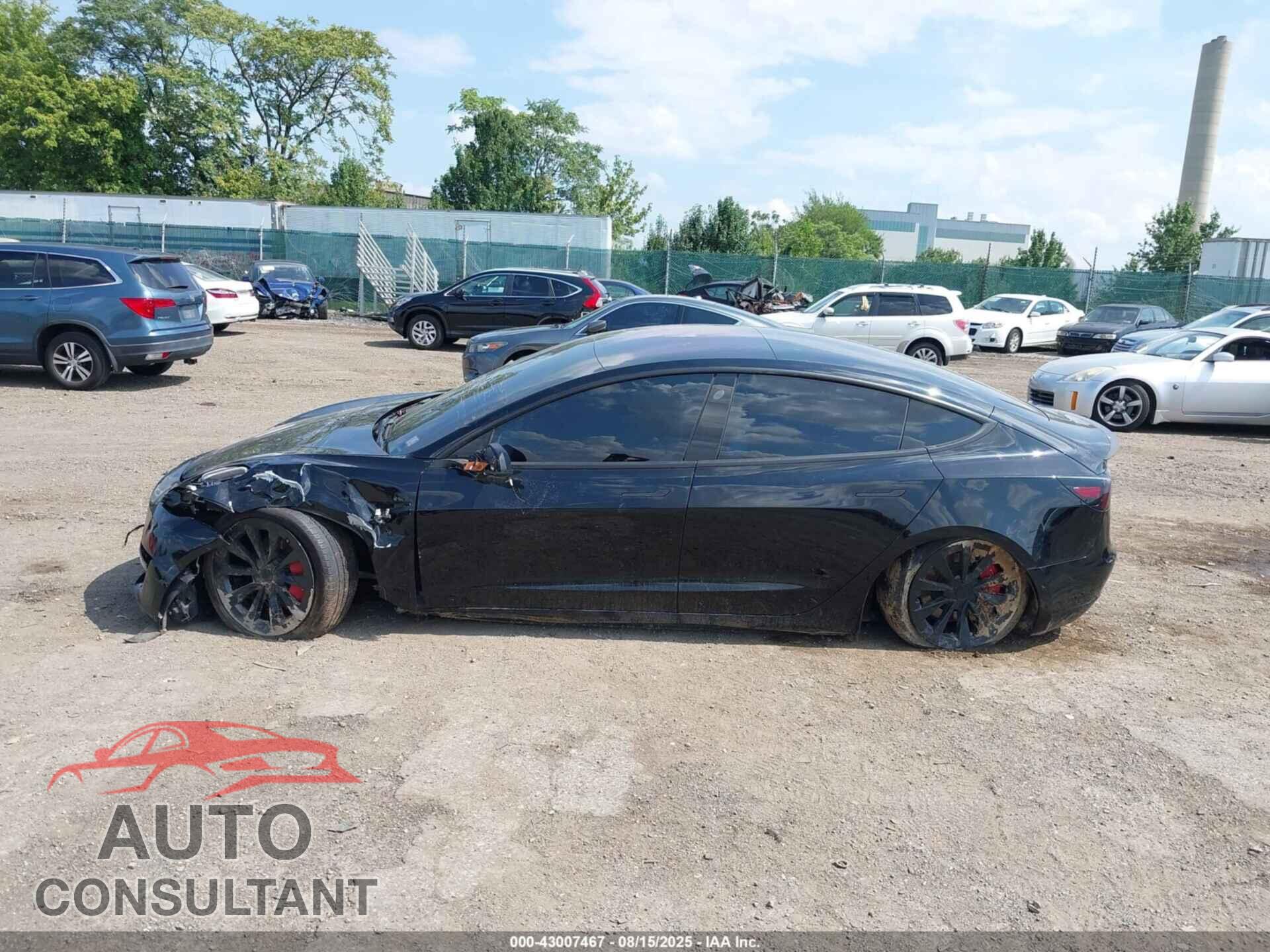 TESLA MODEL 3 2019 - 5YJ3E1EA6KF301639