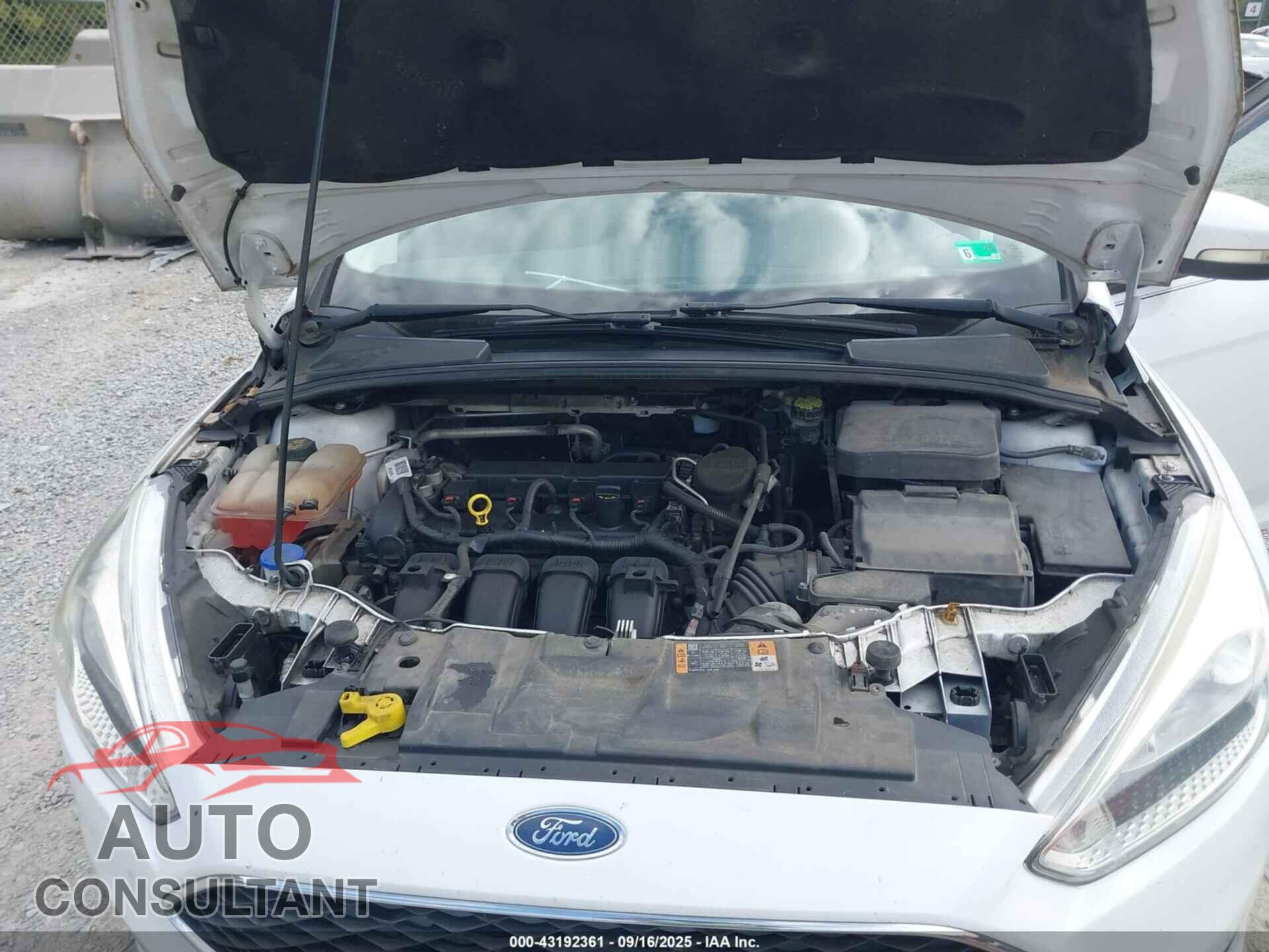 FORD FOCUS 2015 - 1FADP3F22FL204206