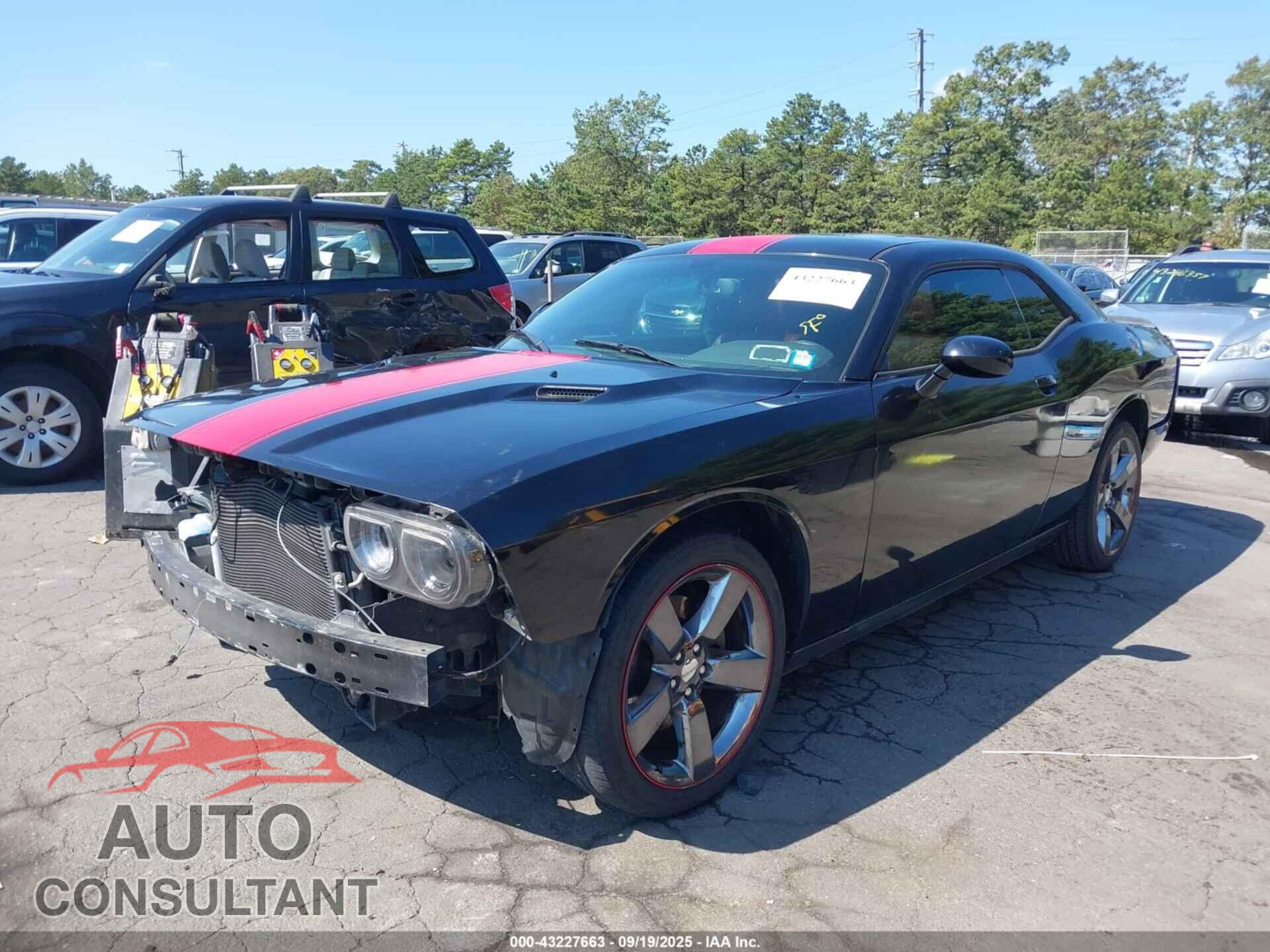 DODGE CHALLENGER 2013 - 2C3CDYAG2DH724404