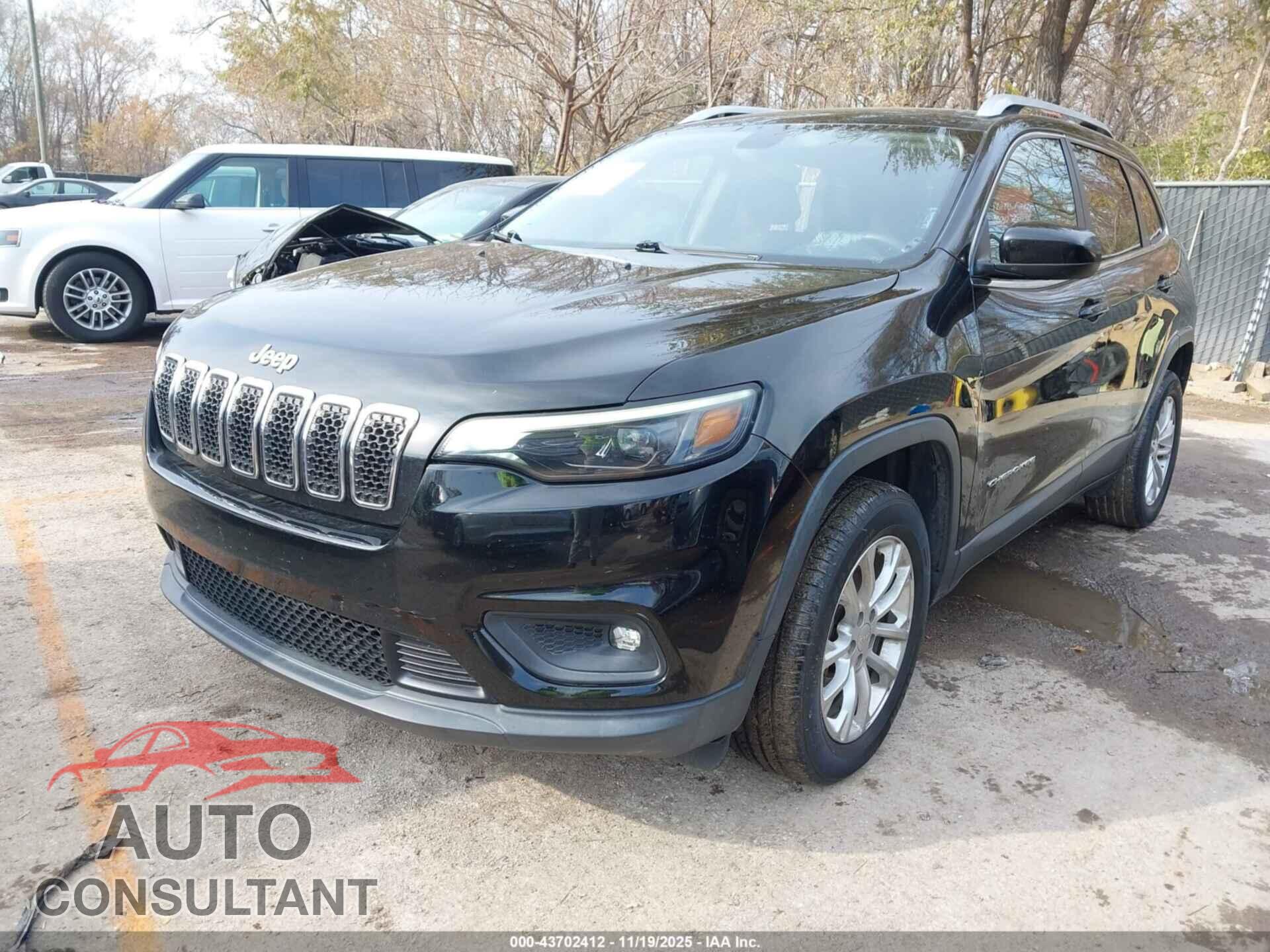 JEEP CHEROKEE 2019 - 1C4PJLCB7KD149740