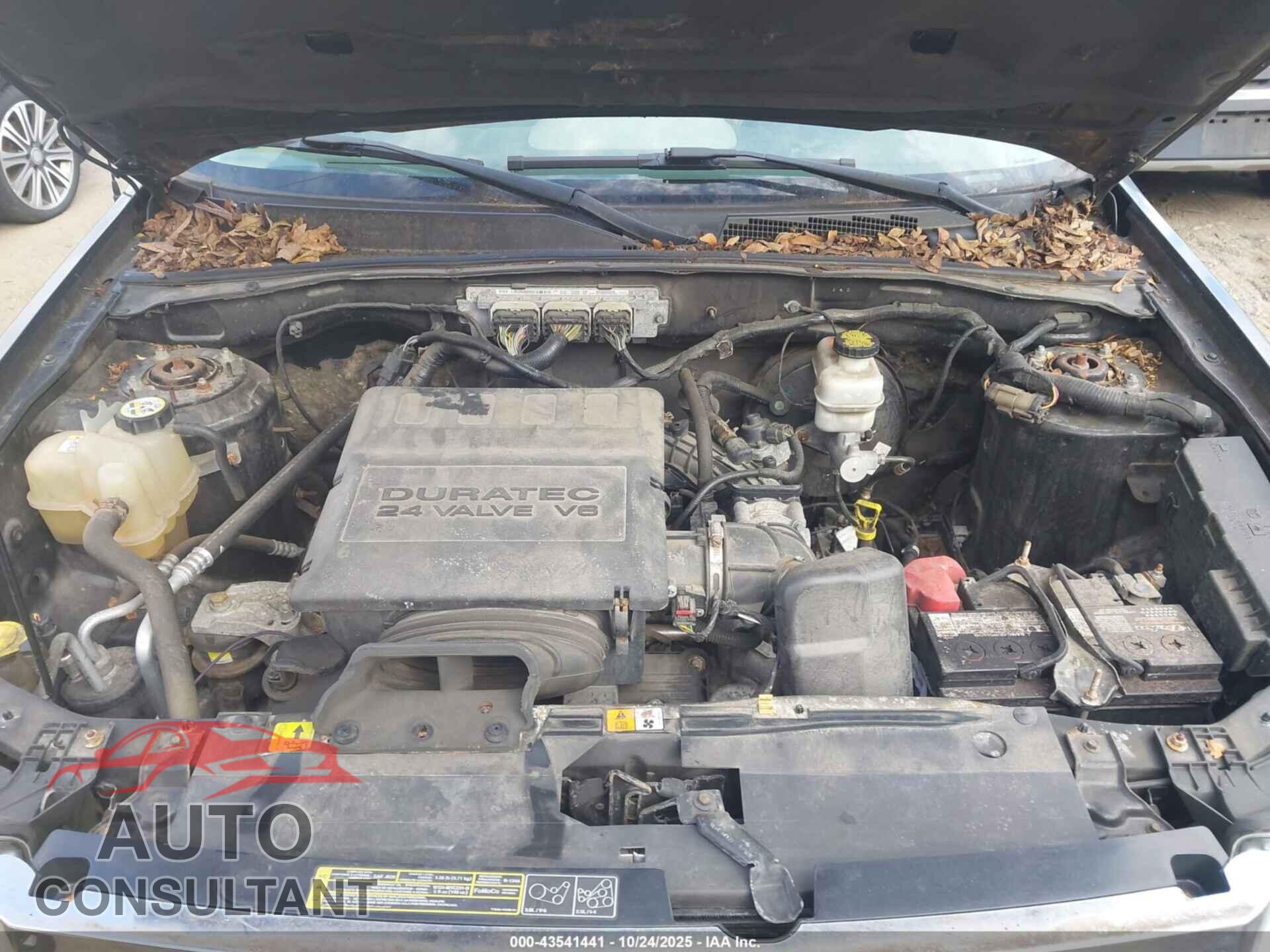 FORD ESCAPE 2010 - 1FMCU9DG3AKD23733