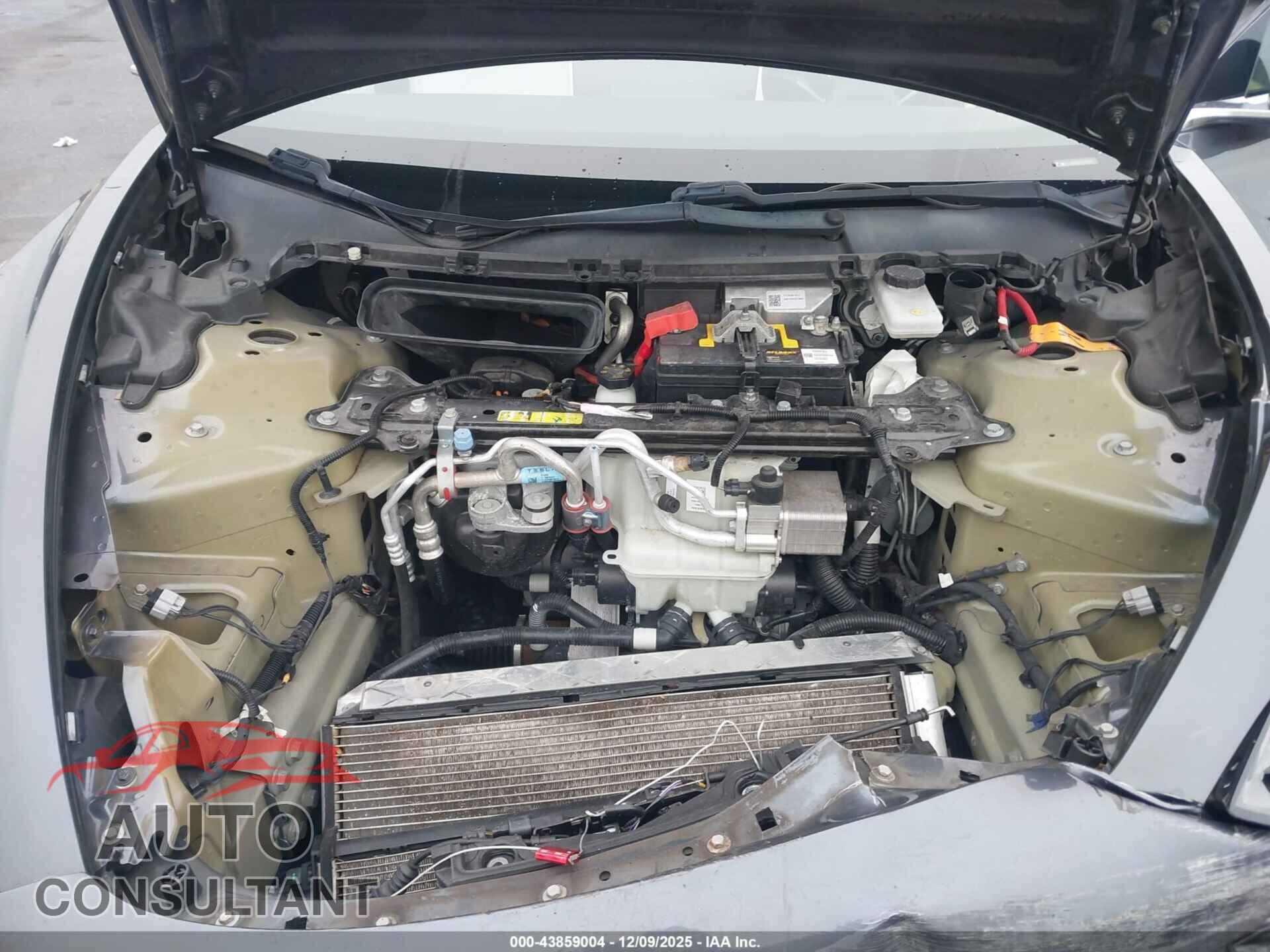 TESLA MODEL 3 2019 - 5YJ3E1EBXKF195530