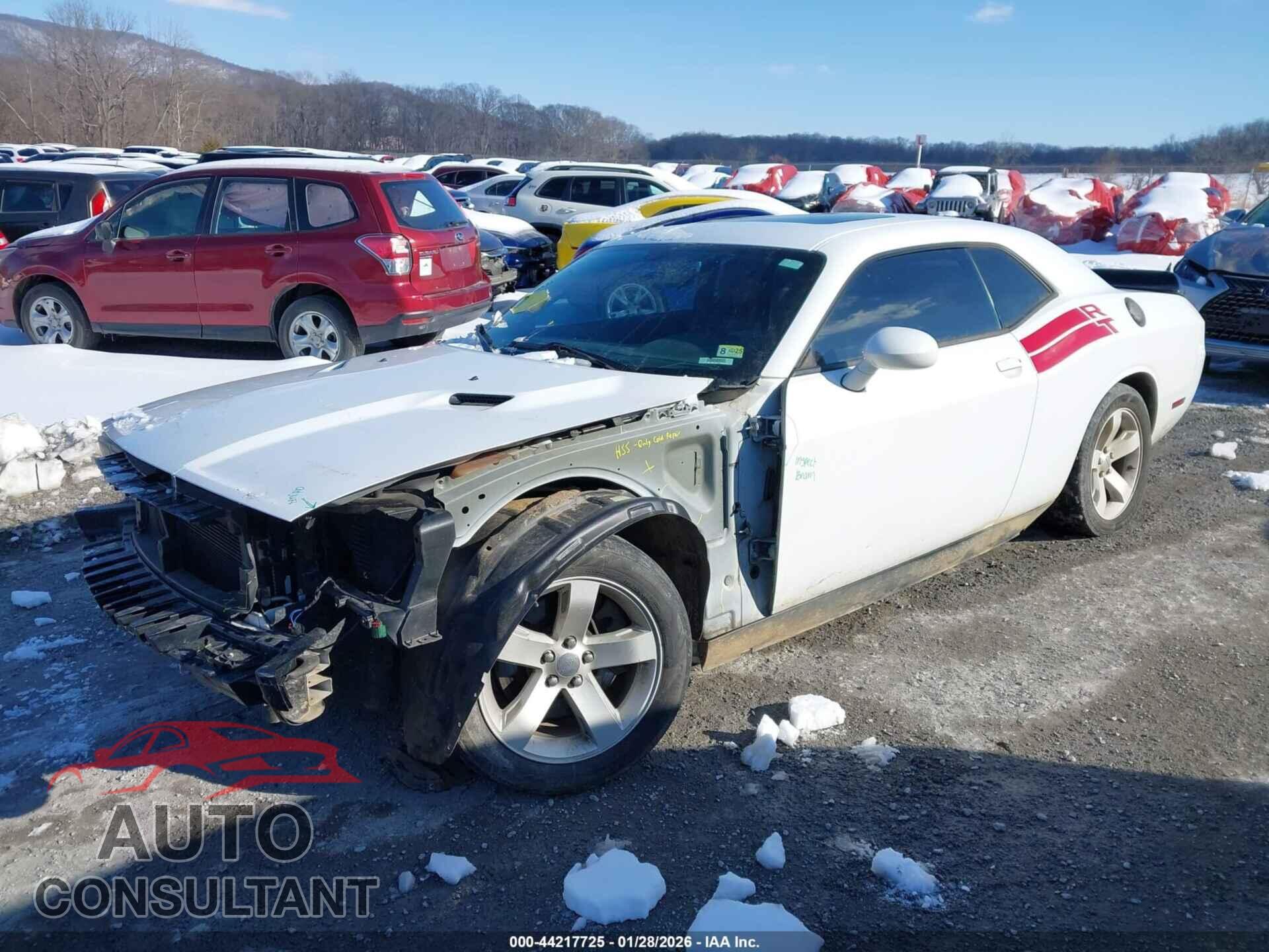 DODGE CHALLENGER 2013 - 2C3CDYBTXDH650886