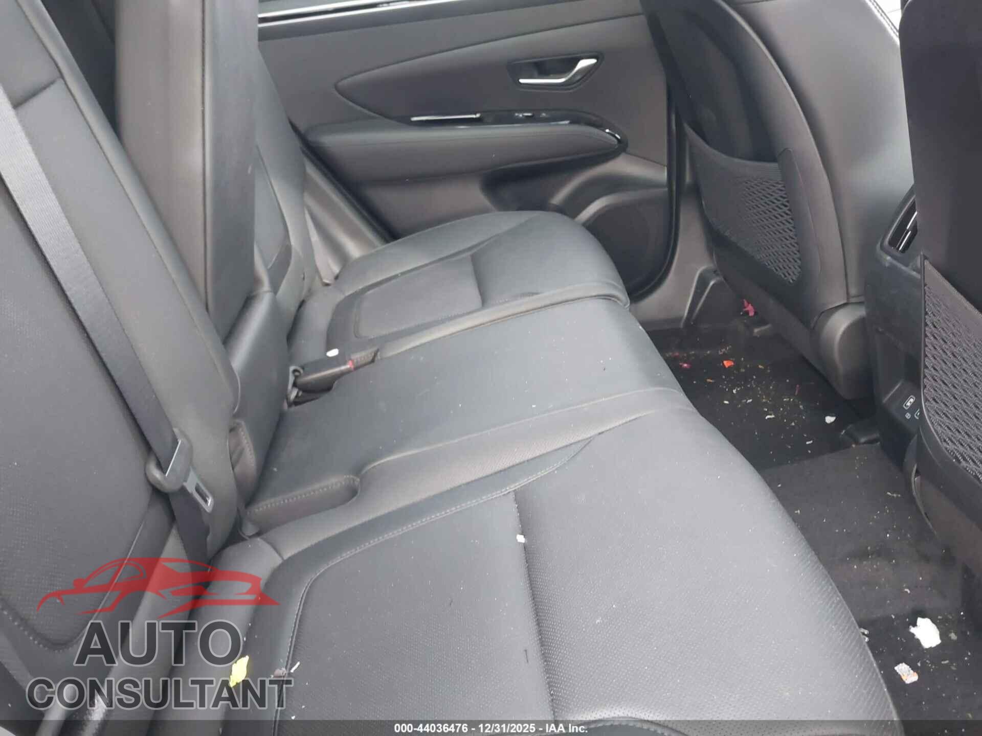 HYUNDAI TUCSON 2024 - 5NMJECDE8RH395491