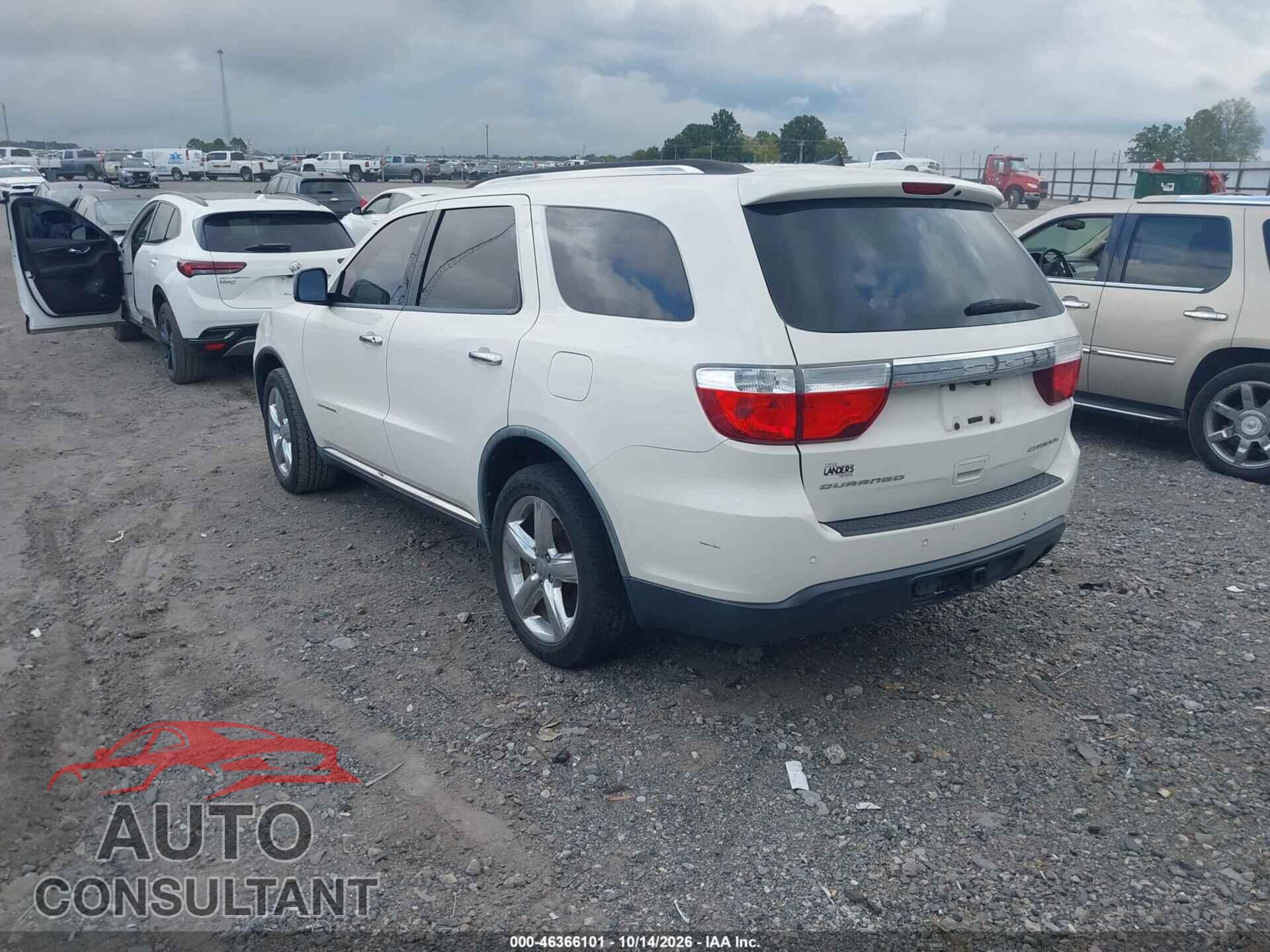 DODGE DURANGO 2011 - 1D4RD5GG7BC613619