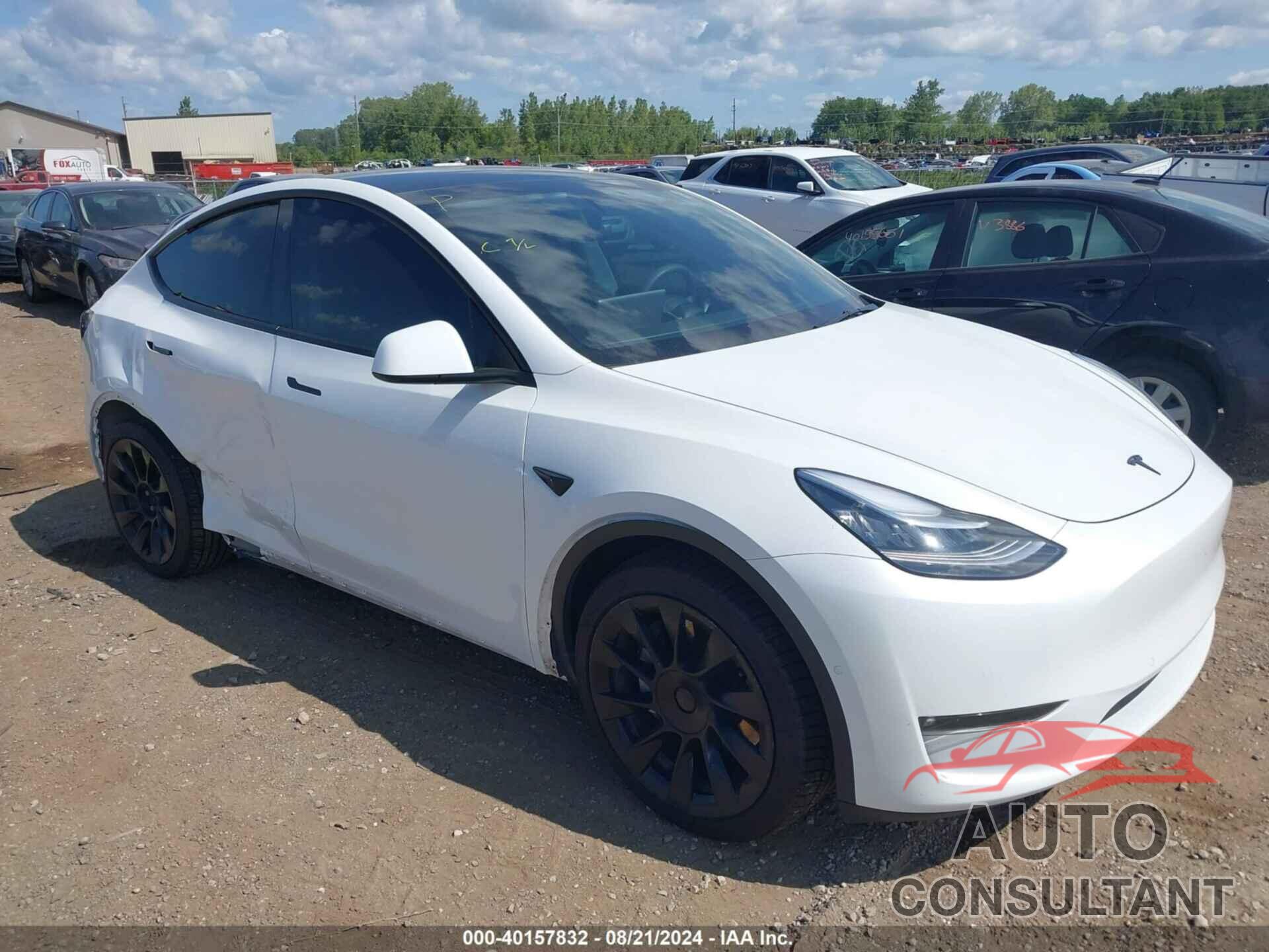 TESLA MODEL Y 2021 - 5YJYGDEE0MF295795