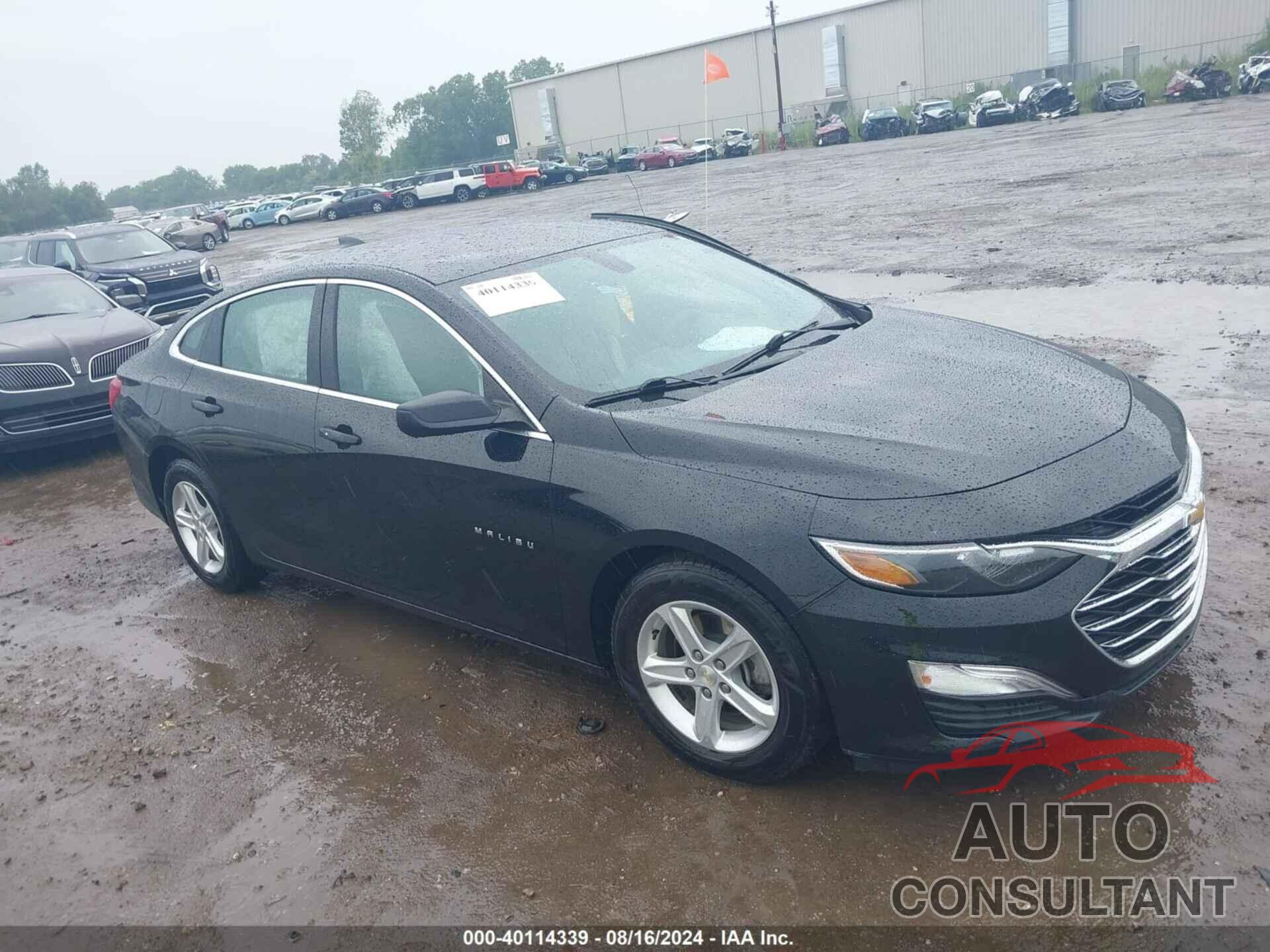 CHEVROLET MALIBU 2019 - 1G1ZB5ST6KF124840