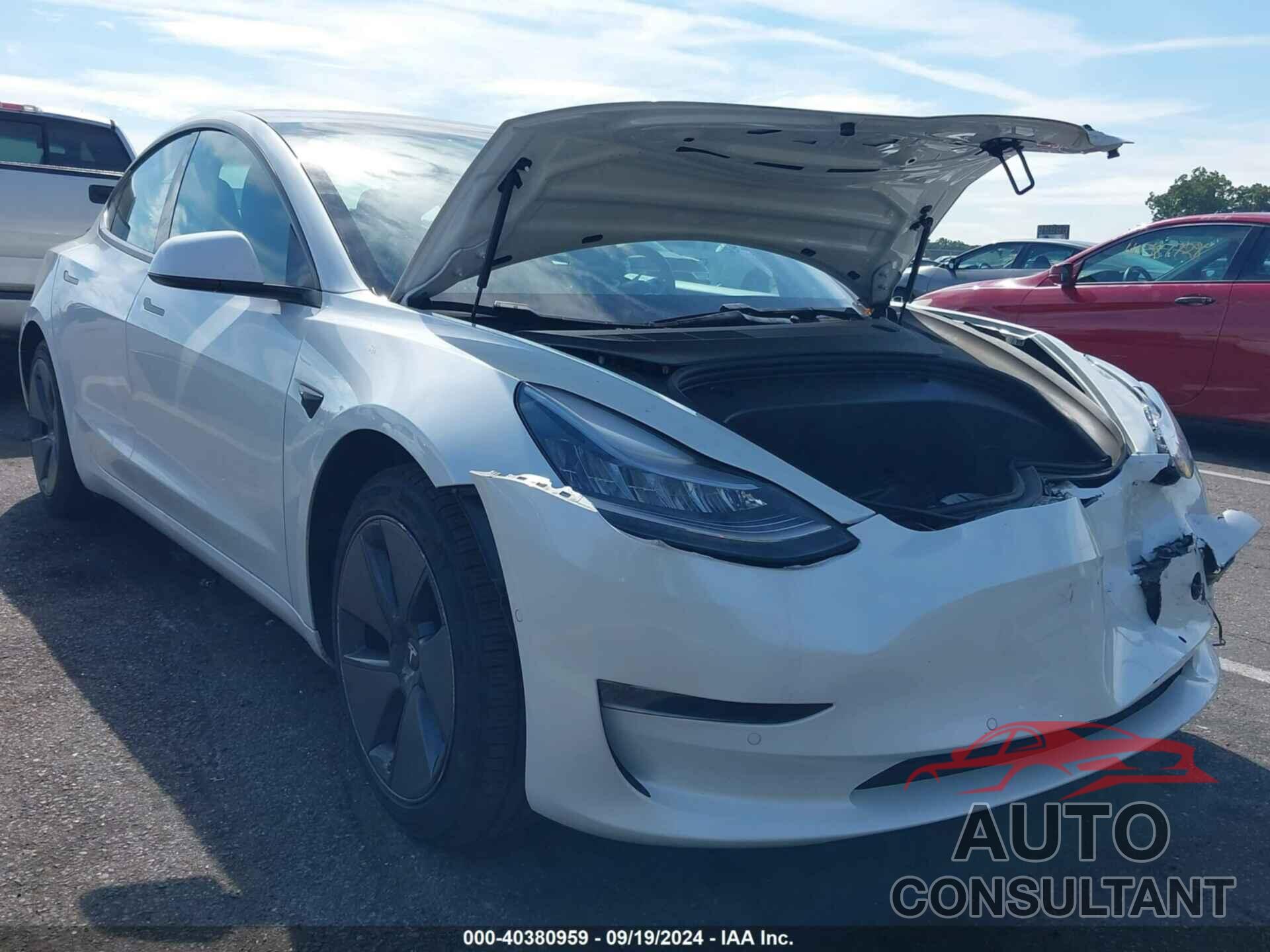 TESLA MODEL 3 2021 - 5YJ3E1EA1MF854816