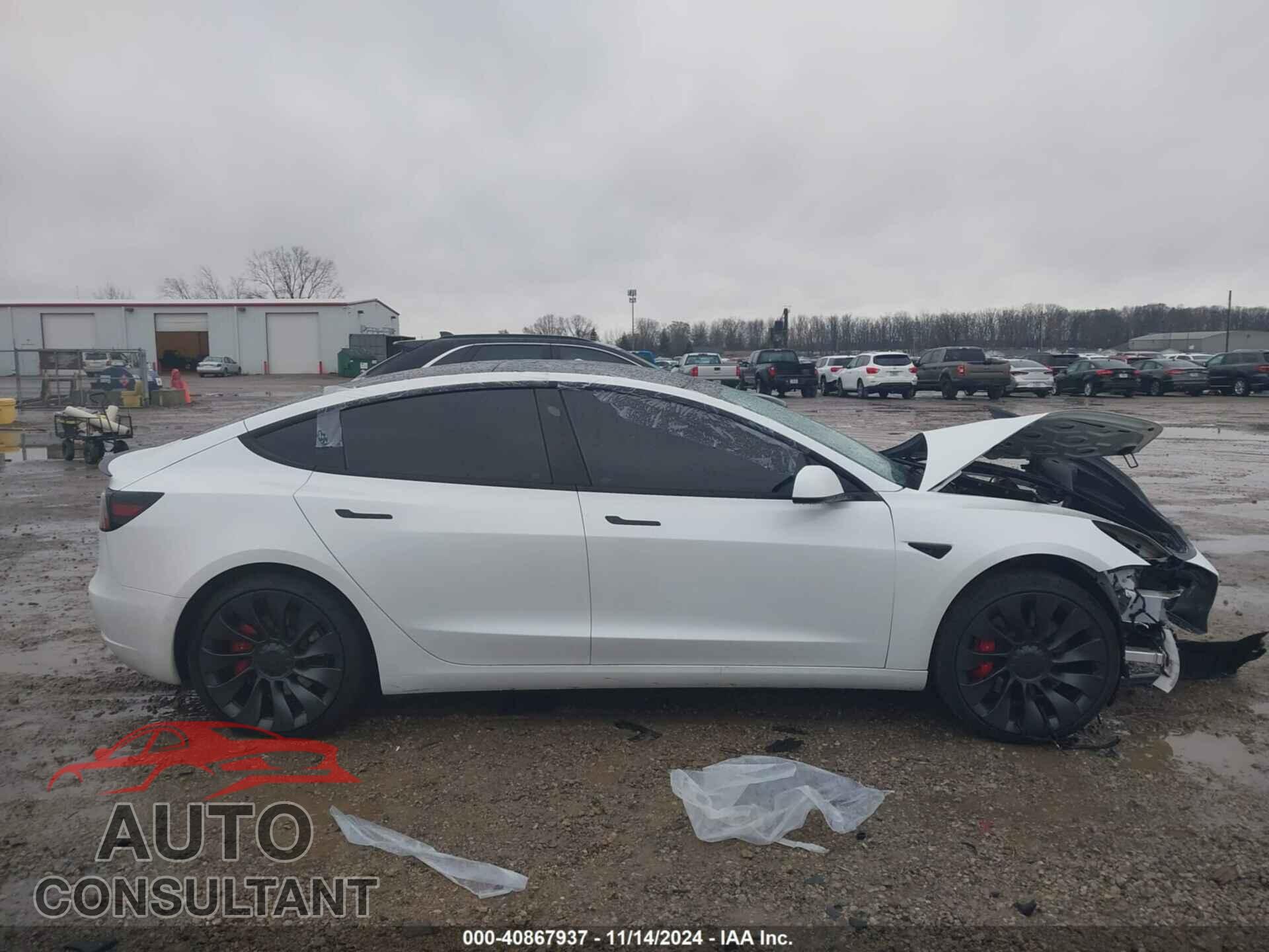 TESLA MODEL 3 2021 - 5YJ3E1EC2MF050249