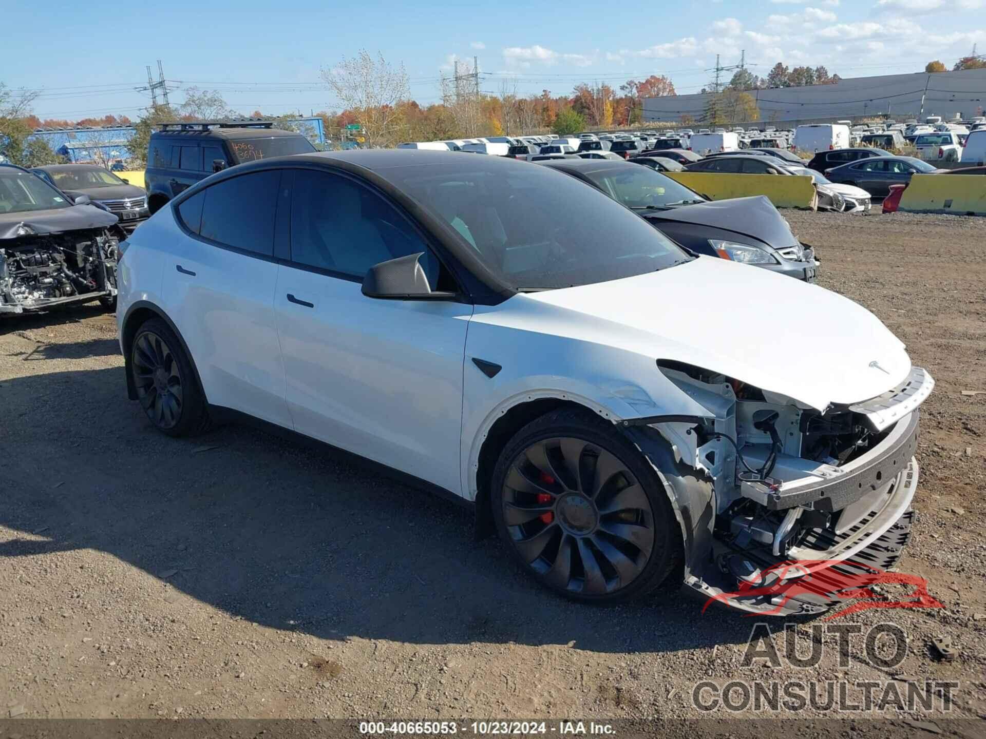 TESLA MODEL Y 2024 - 7SAYGDEF6RA262221