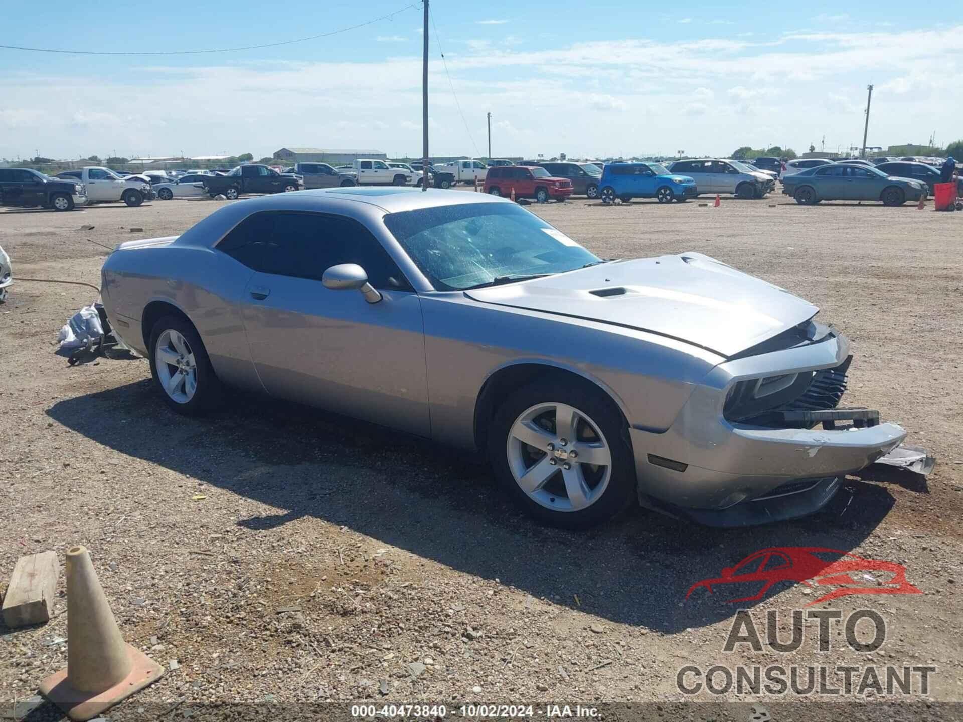 DODGE CHALLENGER 2013 - 2C3CDYAG3DH684415