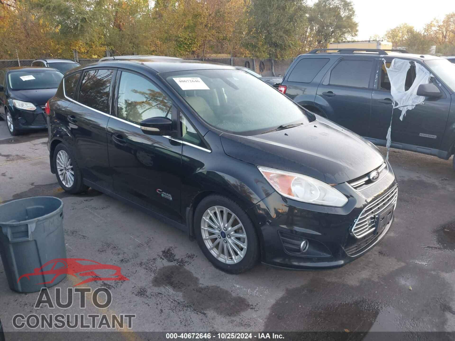 FORD C-MAX 2013 - 1FADP5CU2DL534507