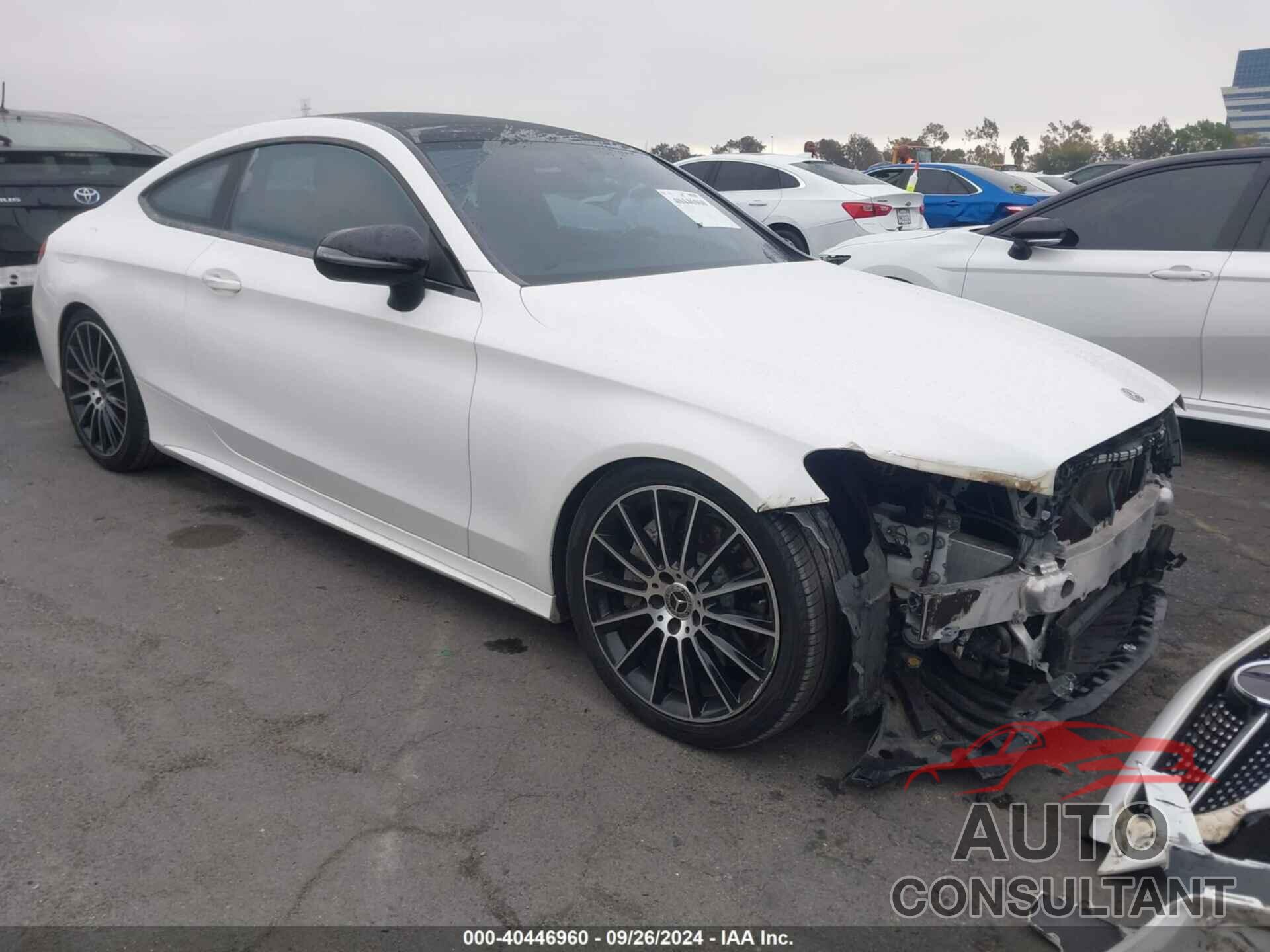 MERCEDES-BENZ C 300 2019 - WDDWJ8DB4KF833887