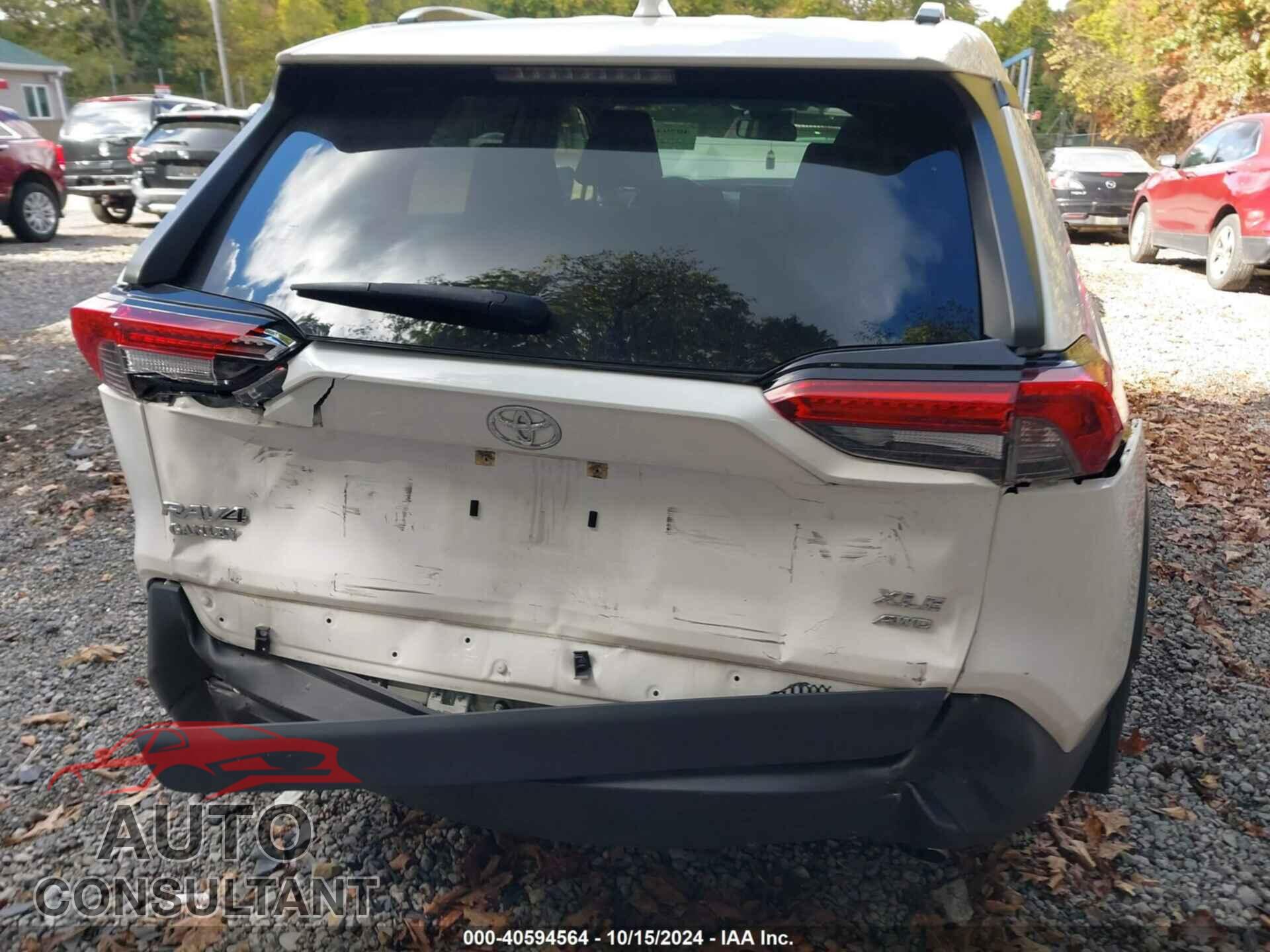 TOYOTA RAV4 2019 - JTMP1RFV2KD008423