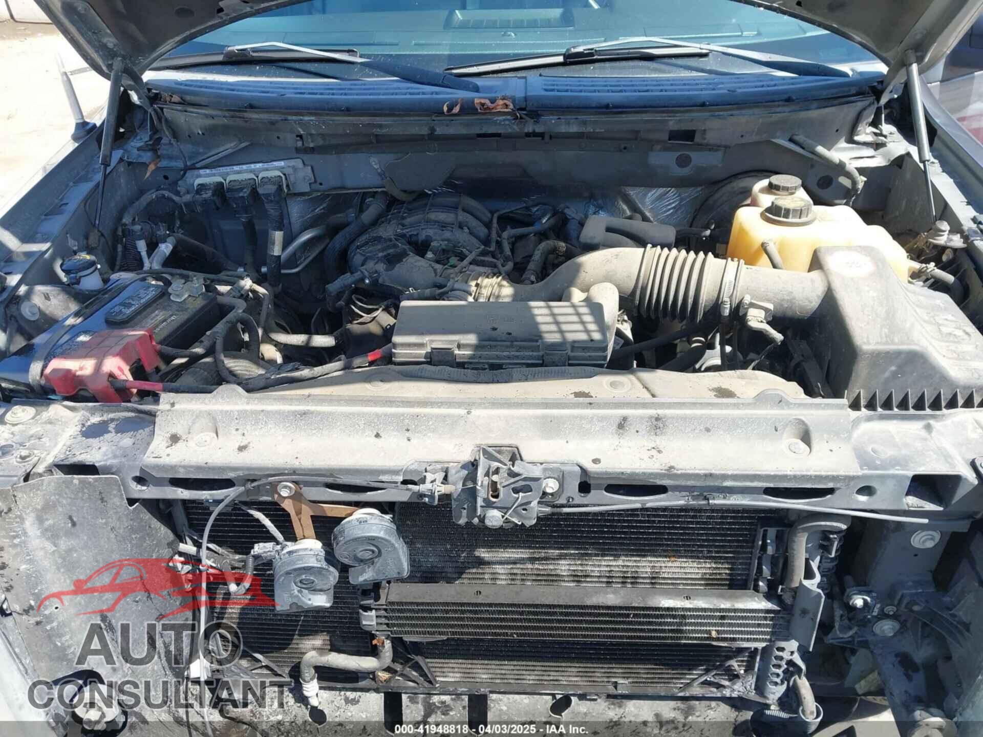 FORD F-150 2011 - 1FTEW1CM3BFA73985