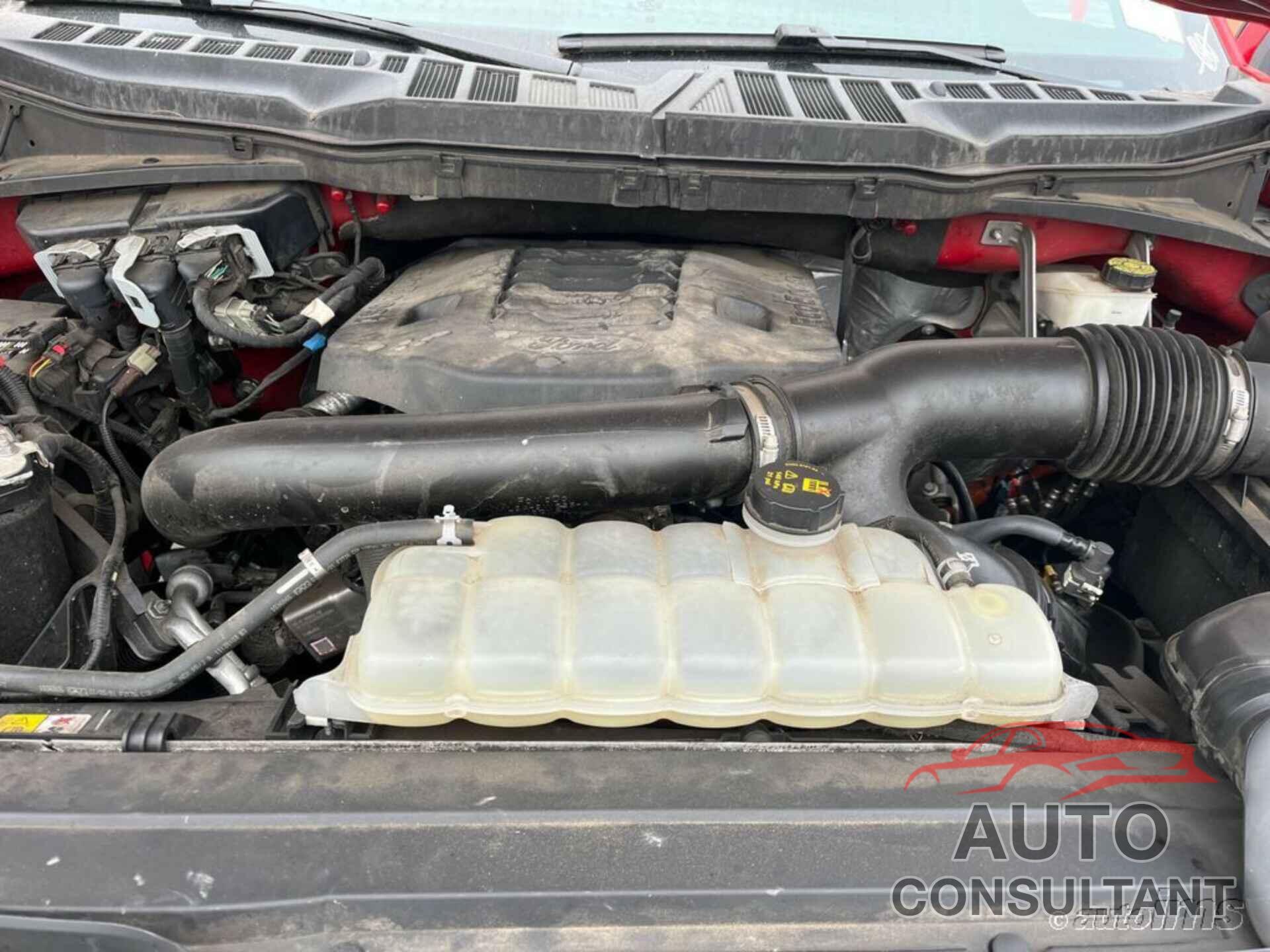 FORD F150 2021 - 1FTFW1E89MKD61332
