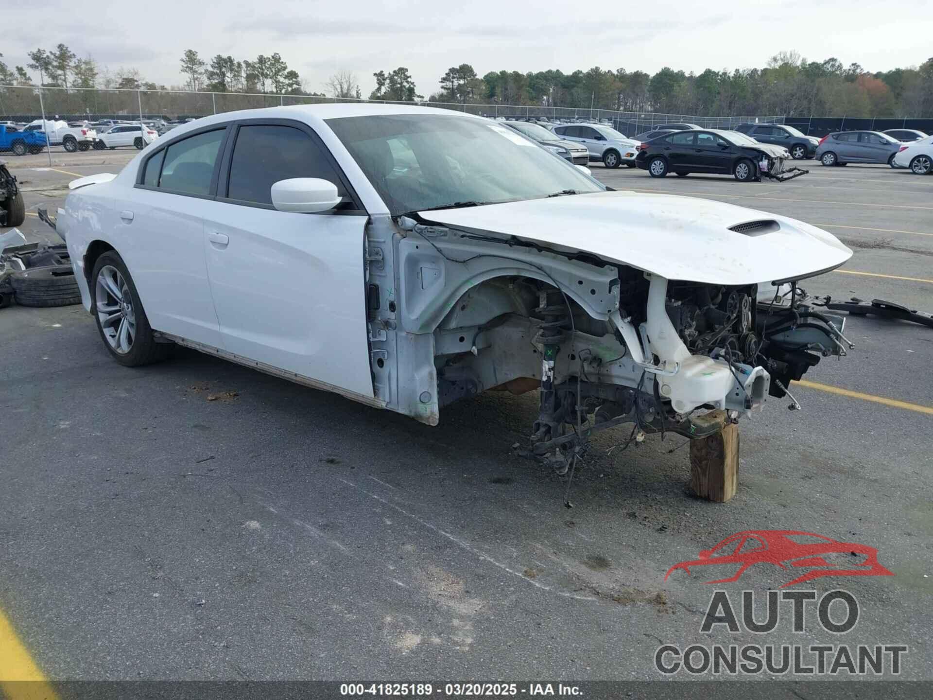 DODGE CHARGER 2020 - 2C3CDXCT1LH199869