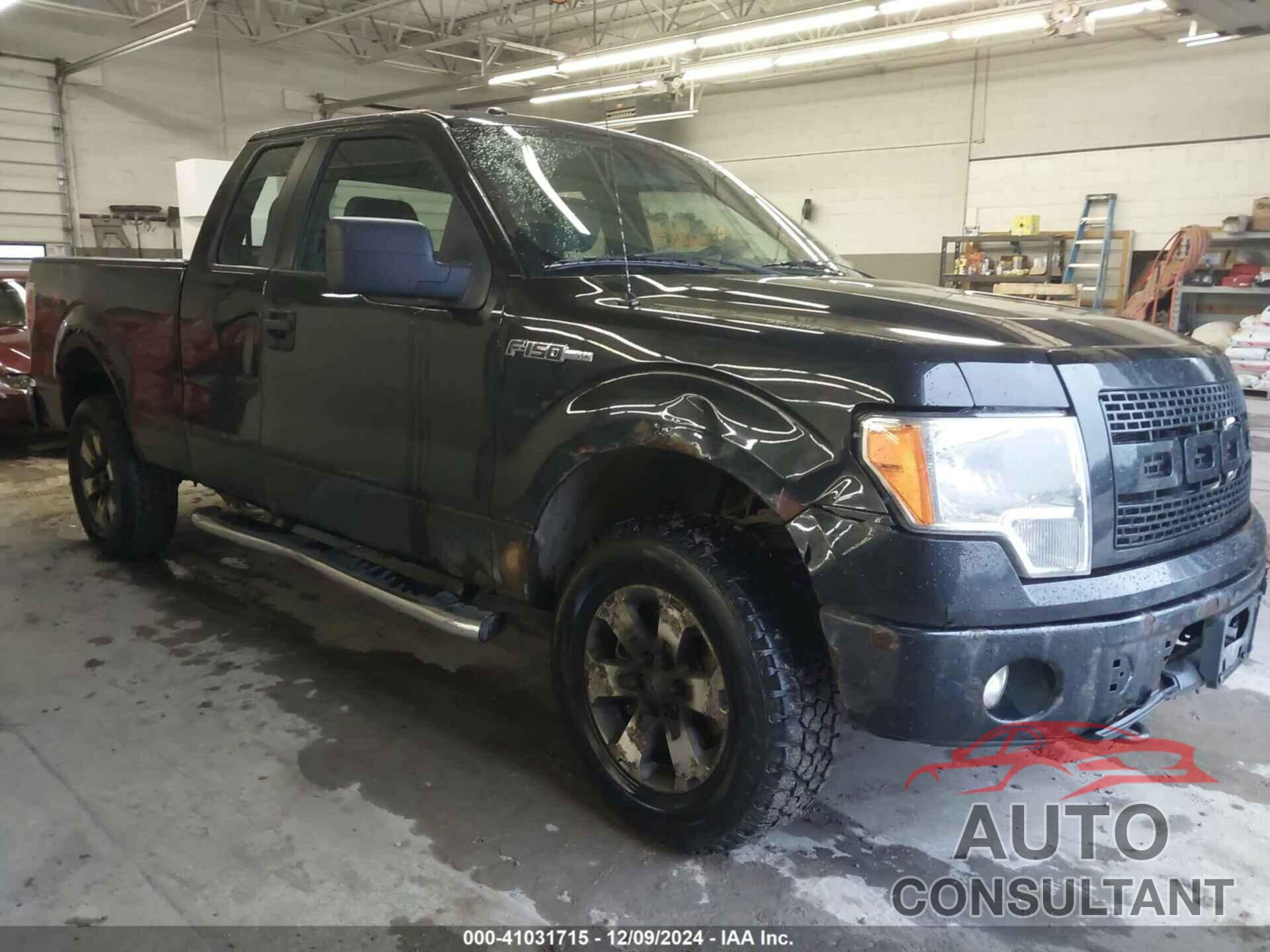 FORD F-150 2013 - 1FTFX1EF5DFC99786