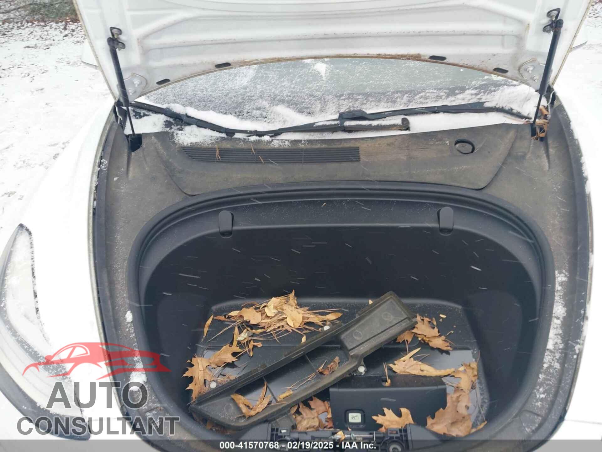 TESLA MODEL 3 2019 - 5YJ3E1EA2KF299730