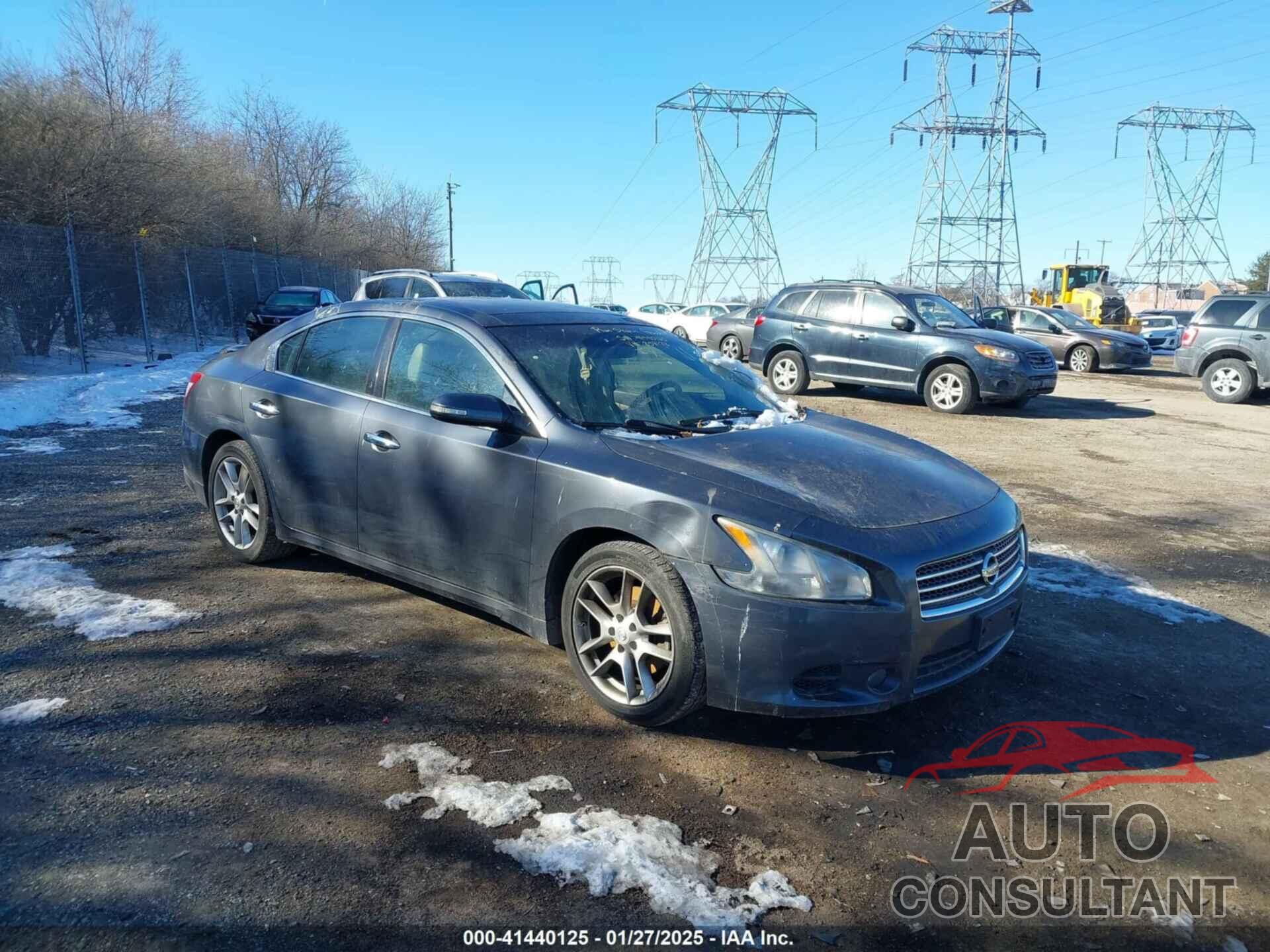 NISSAN MAXIMA 2009 - 1N4AA51E19C858183