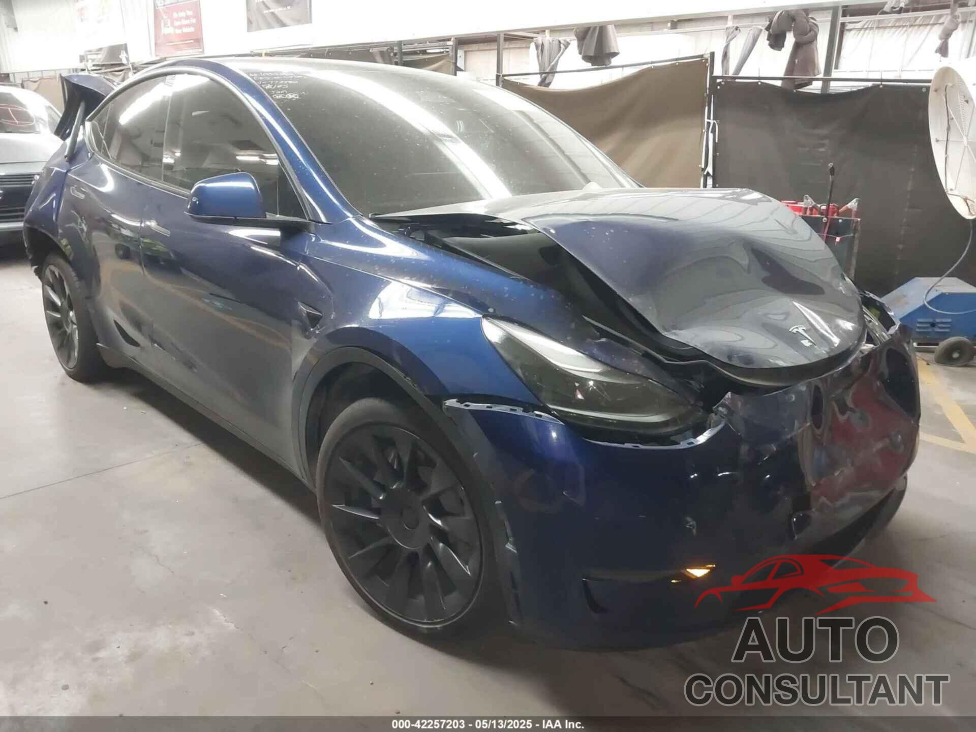 TESLA MODEL Y 2023 - 7SAYGAEE2PF773382