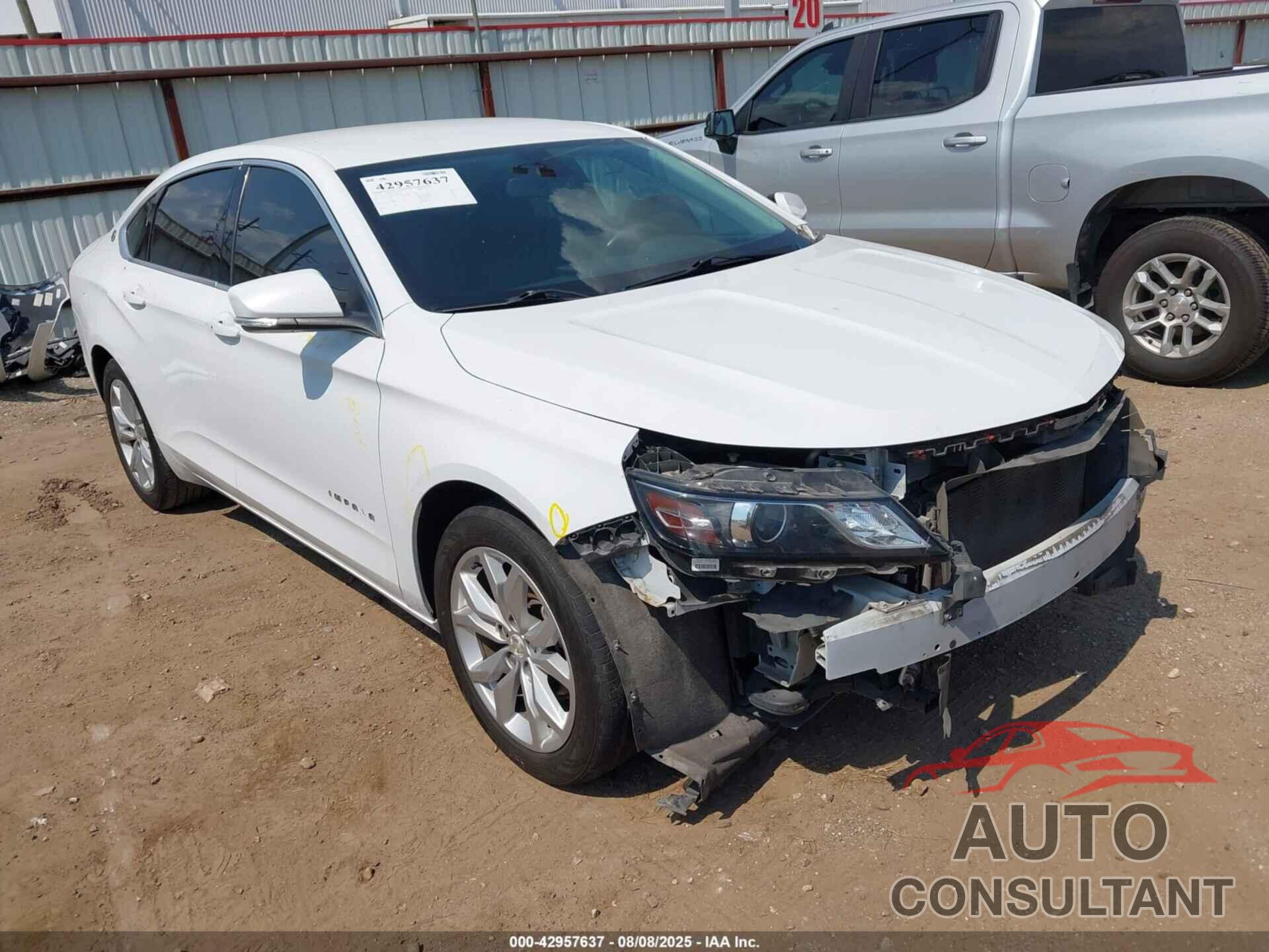 CHEVROLET IMPALA 2019 - 1G11Z5S33KU101469