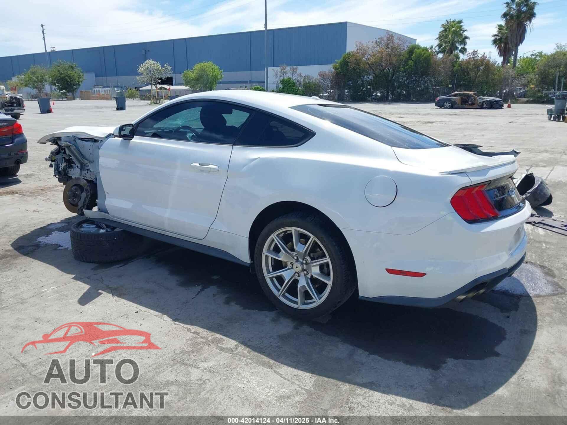 FORD MUSTANG 2019 - 1FA6P8CF2K5169663