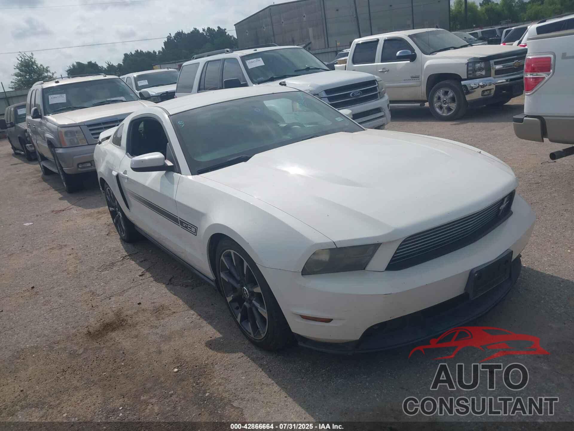 FORD MUSTANG 2011 - 1ZVBP8CF2B5161343