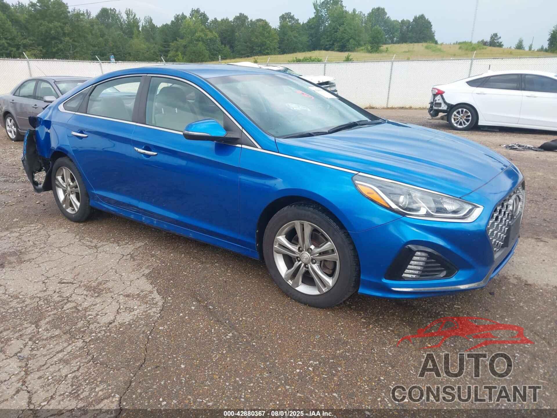HYUNDAI SONATA 2019 - 5NPE34AF5KH783877