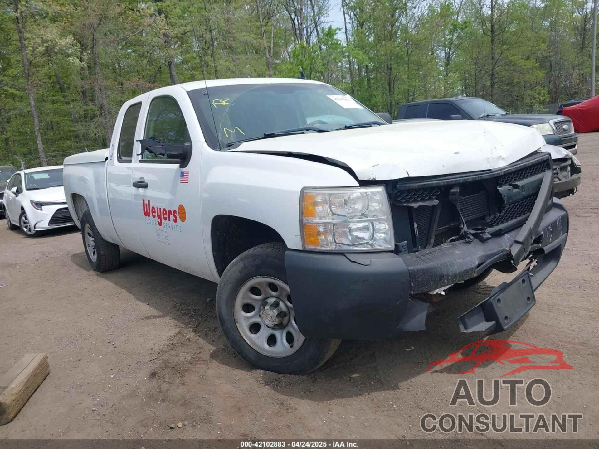 CHEVROLET SILVERADO 1500 2009 - 1GCEC19C99Z152741