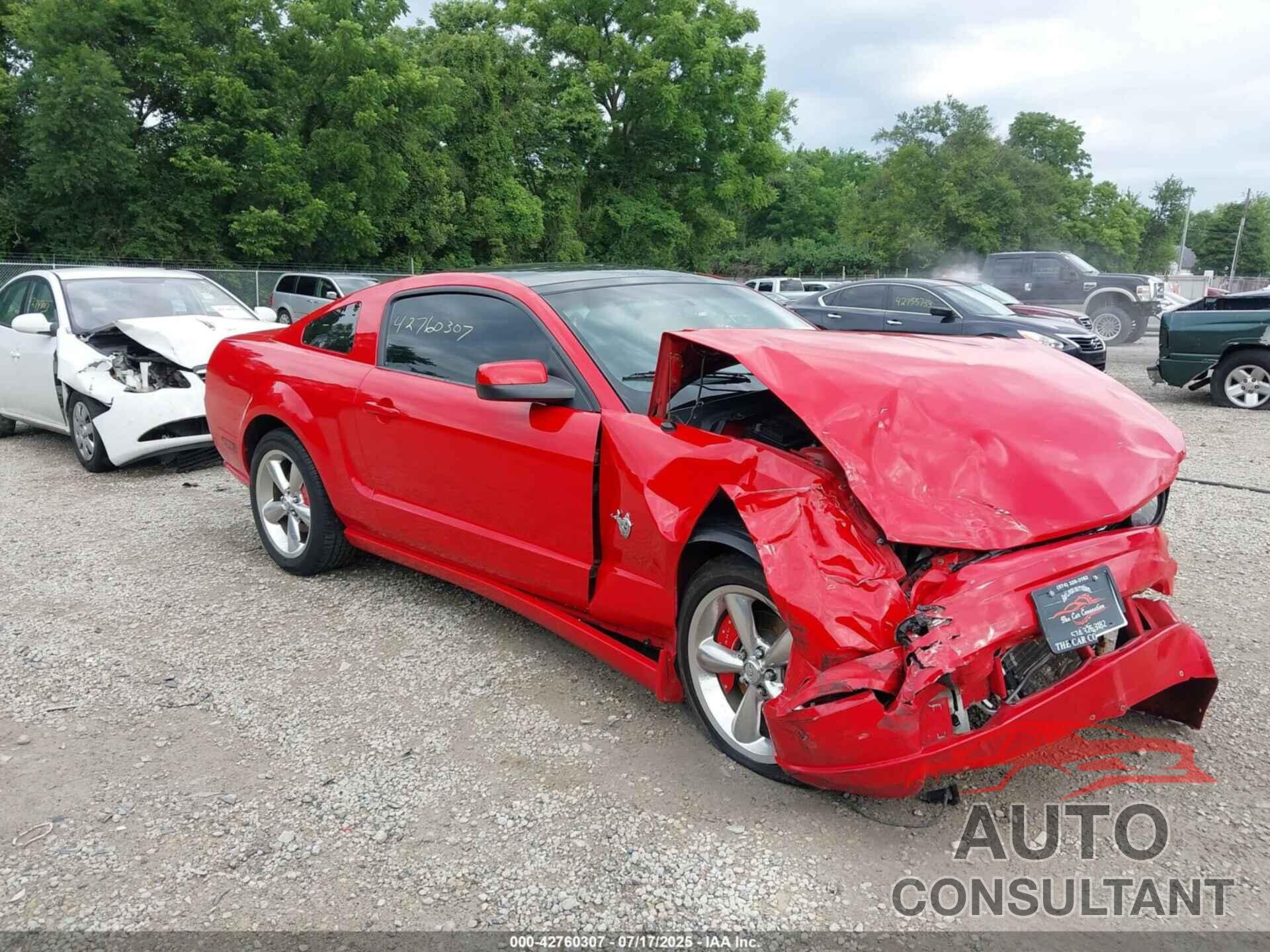 FORD MUSTANG 2009 - 1ZVHT82H695132673