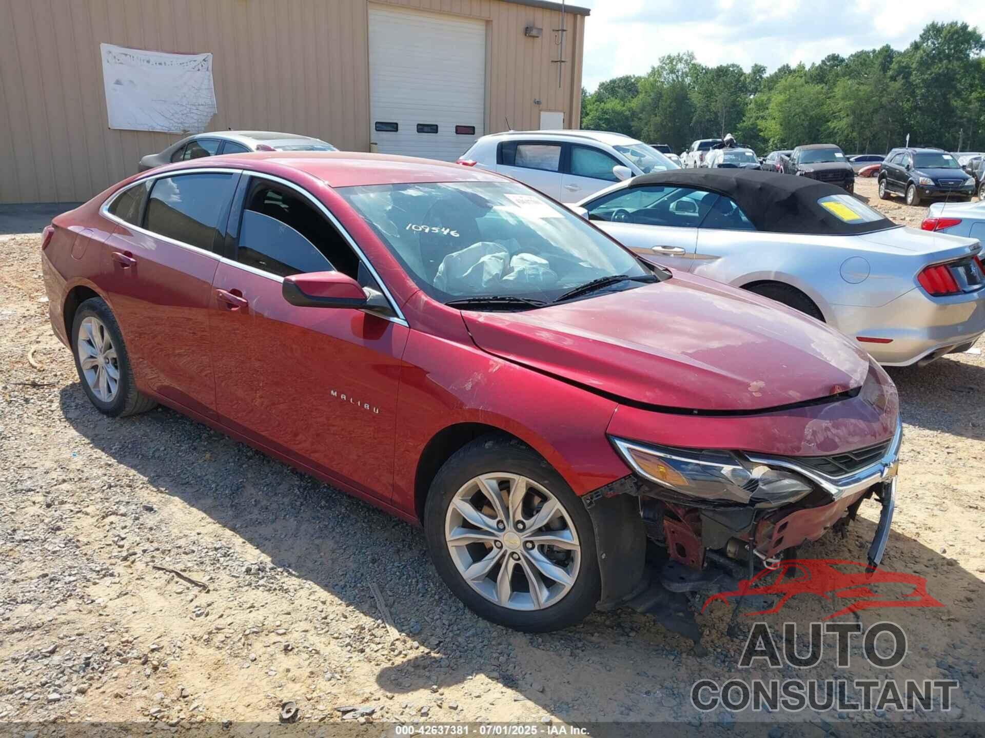 CHEVROLET MALIBU 2019 - 1G1ZD5ST5KF109546