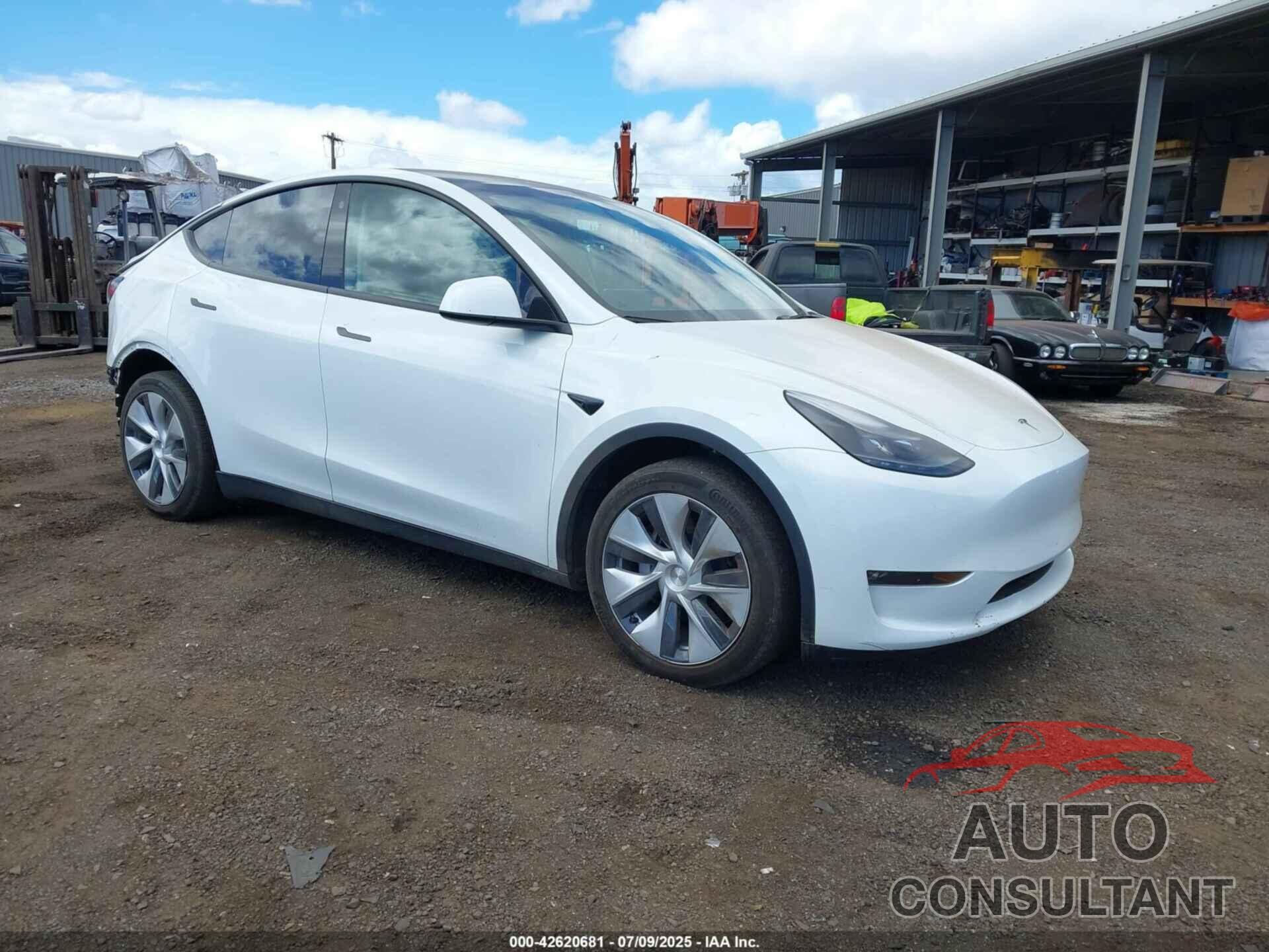 TESLA MODEL Y 2023 - 7SAYGDEE6PF609232