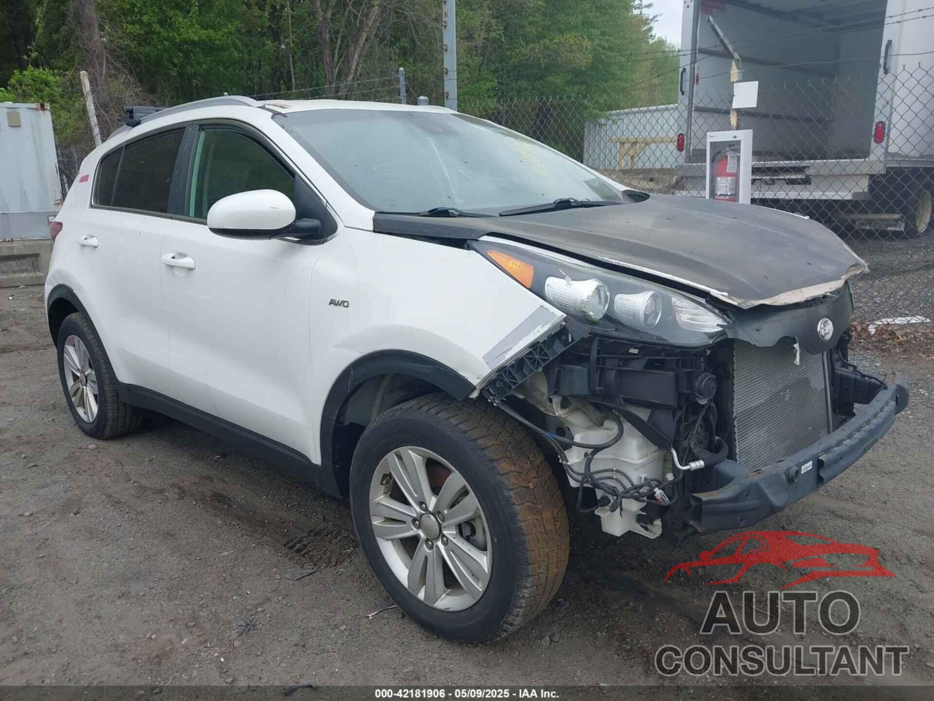 KIA SPORTAGE 2019 - KNDPMCAC9K7590335