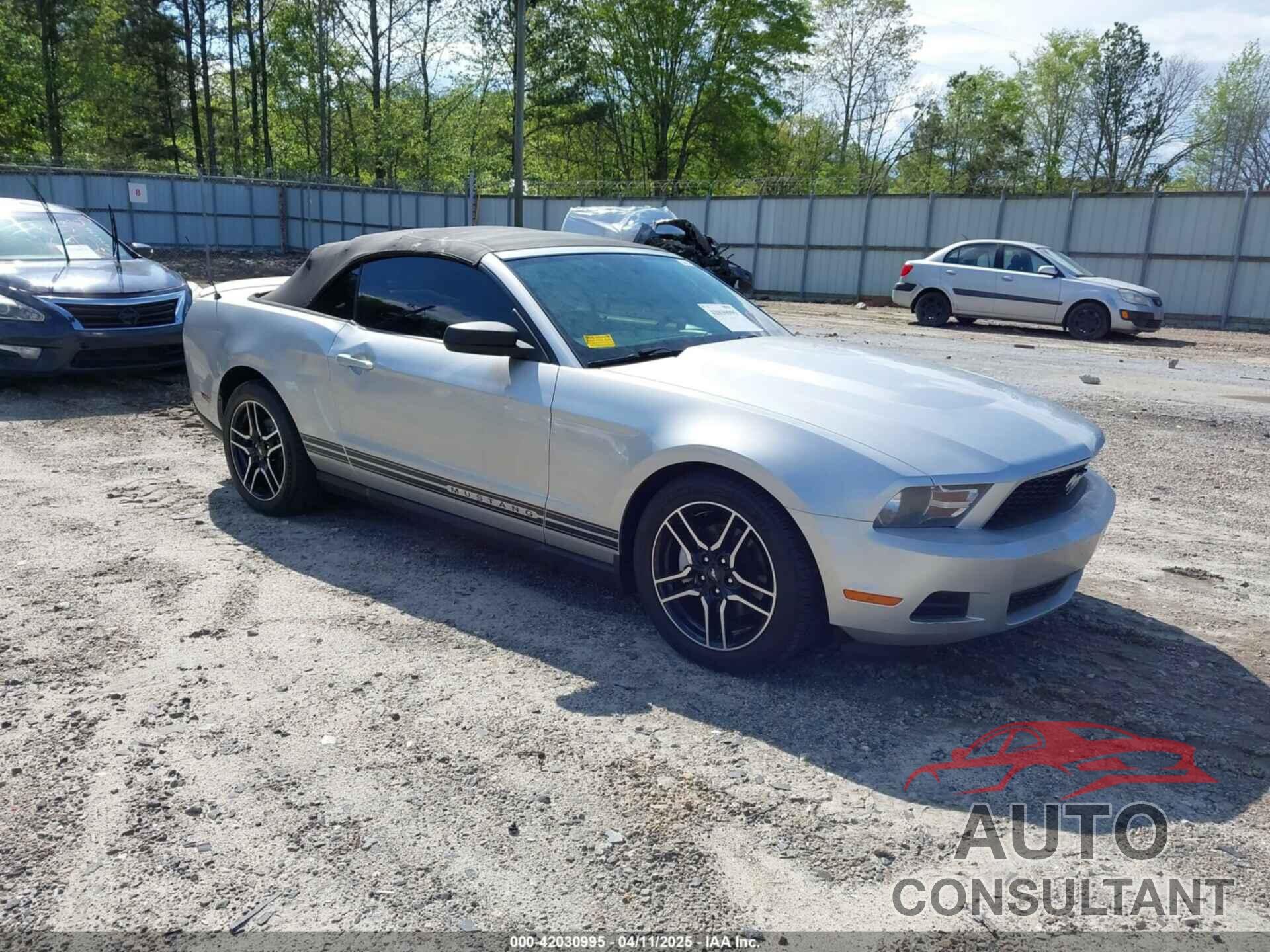FORD MUSTANG 2011 - 1ZVBP8EM6B5112240
