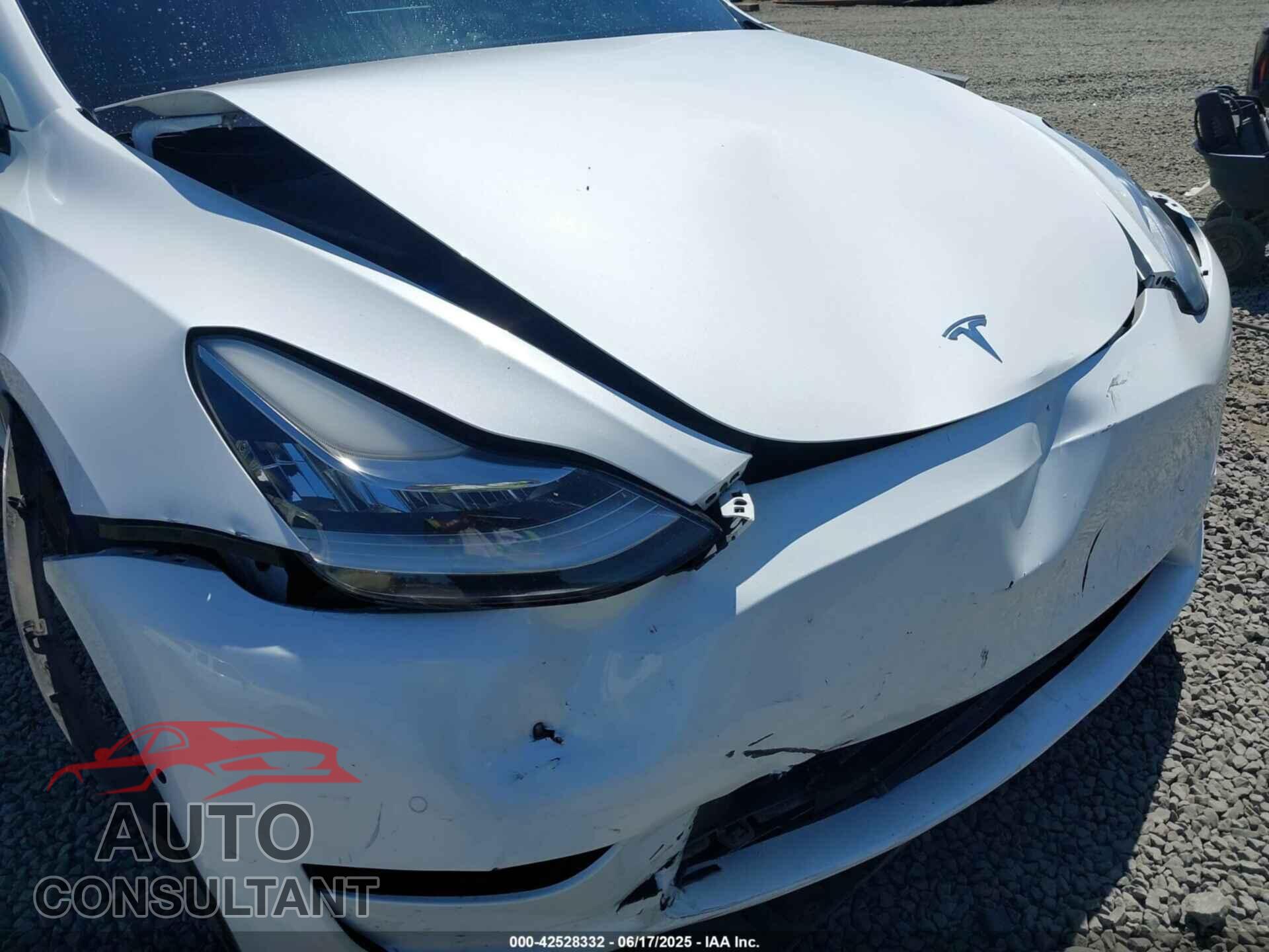 TESLA MODEL Y 2022 - 7SAYGDEEXNF401870