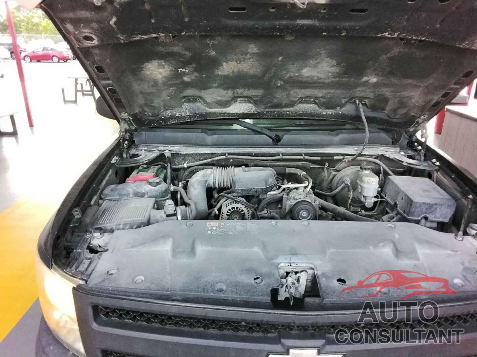 CHEVROLET SILVERADO 1500 2011 - 1GCNCPEX1BZ397843