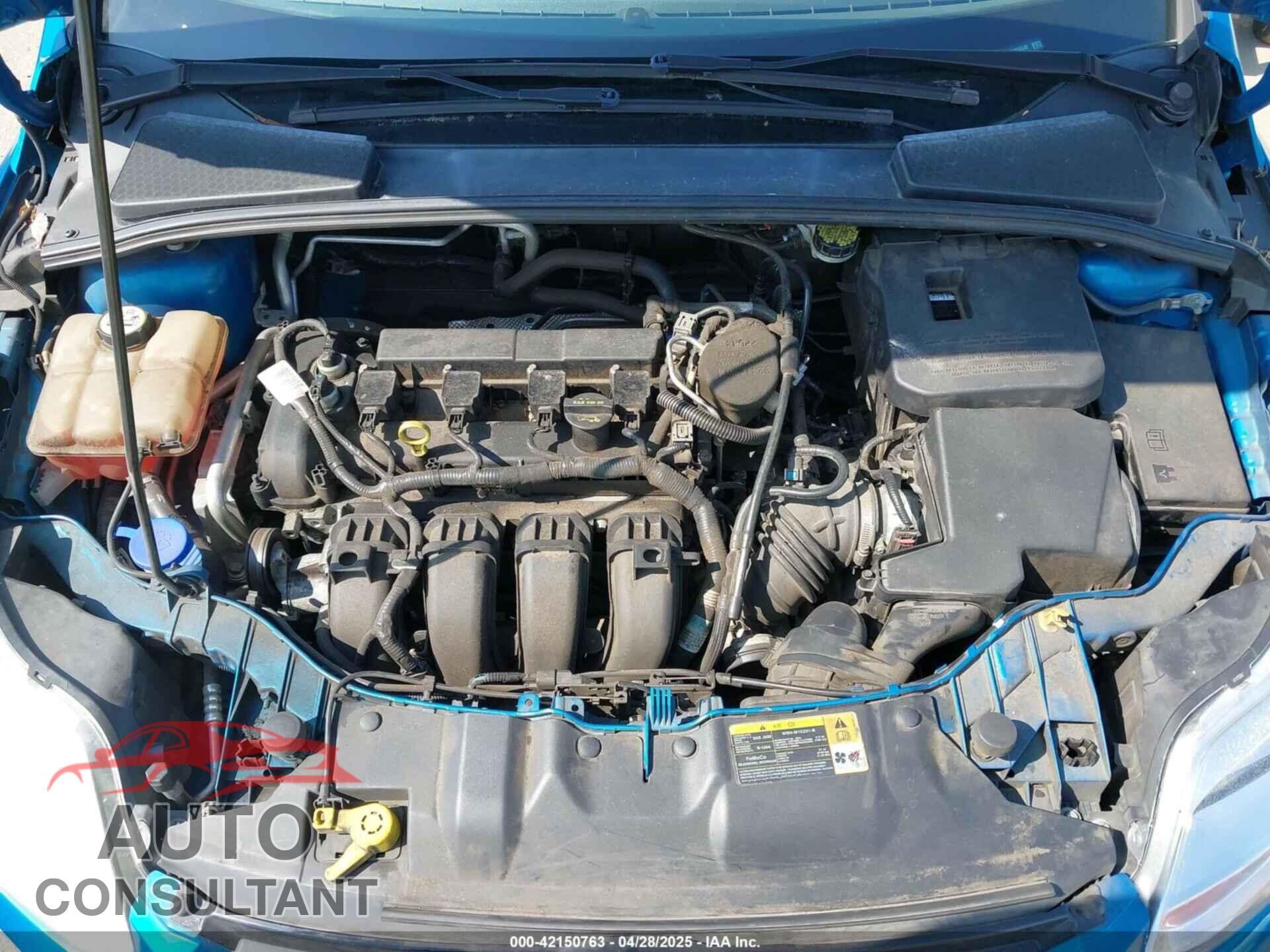 FORD FOCUS 2012 - 1FAHP3K25CL258540