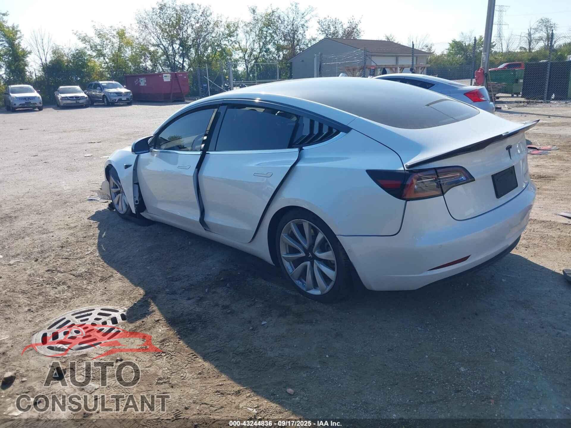 TESLA MODEL 3 2019 - 5YJ3E1EB3KF437686