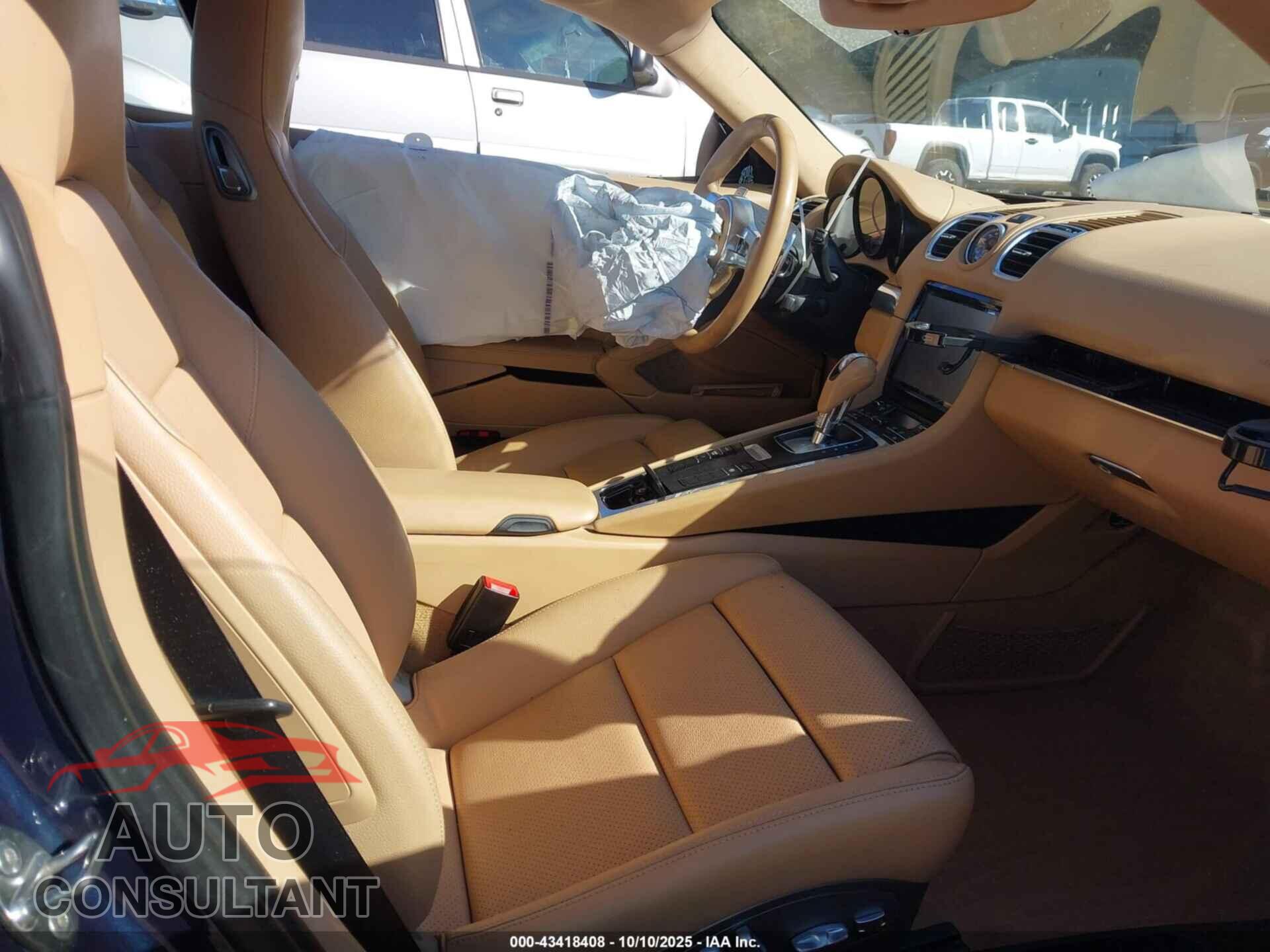 PORSCHE CAYMAN 2014 - WP0AB2A89EK190892