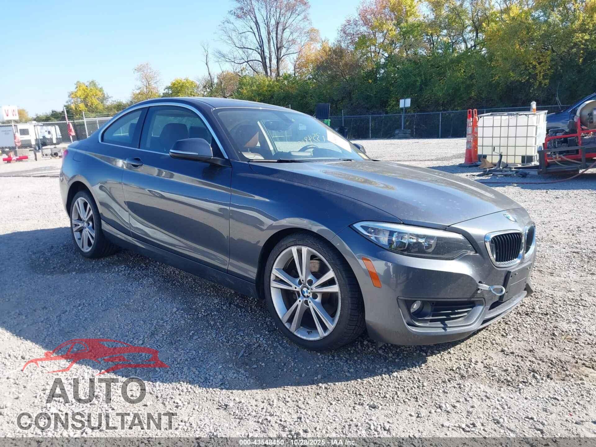 BMW 228I 2015 - WBA1F7C57FVX96354