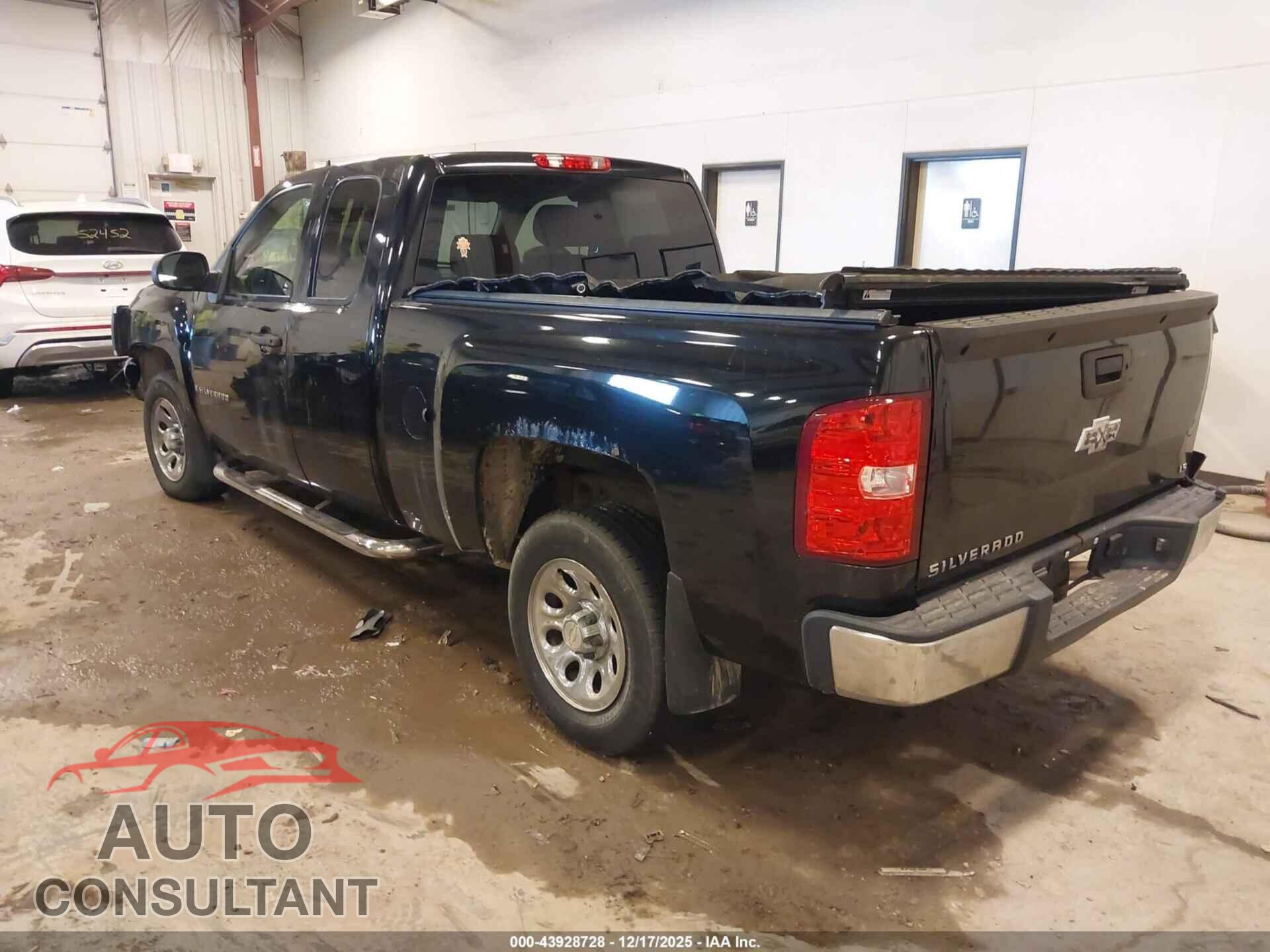 CHEVROLET SILVERADO 1500 2009 - 1GCEC19X89Z112069