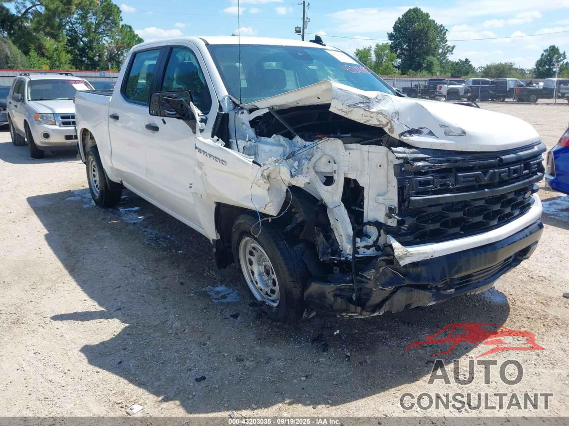 CHEVROLET SILVERADO 1500 2024 - 1GCPAAEK5RZ252475