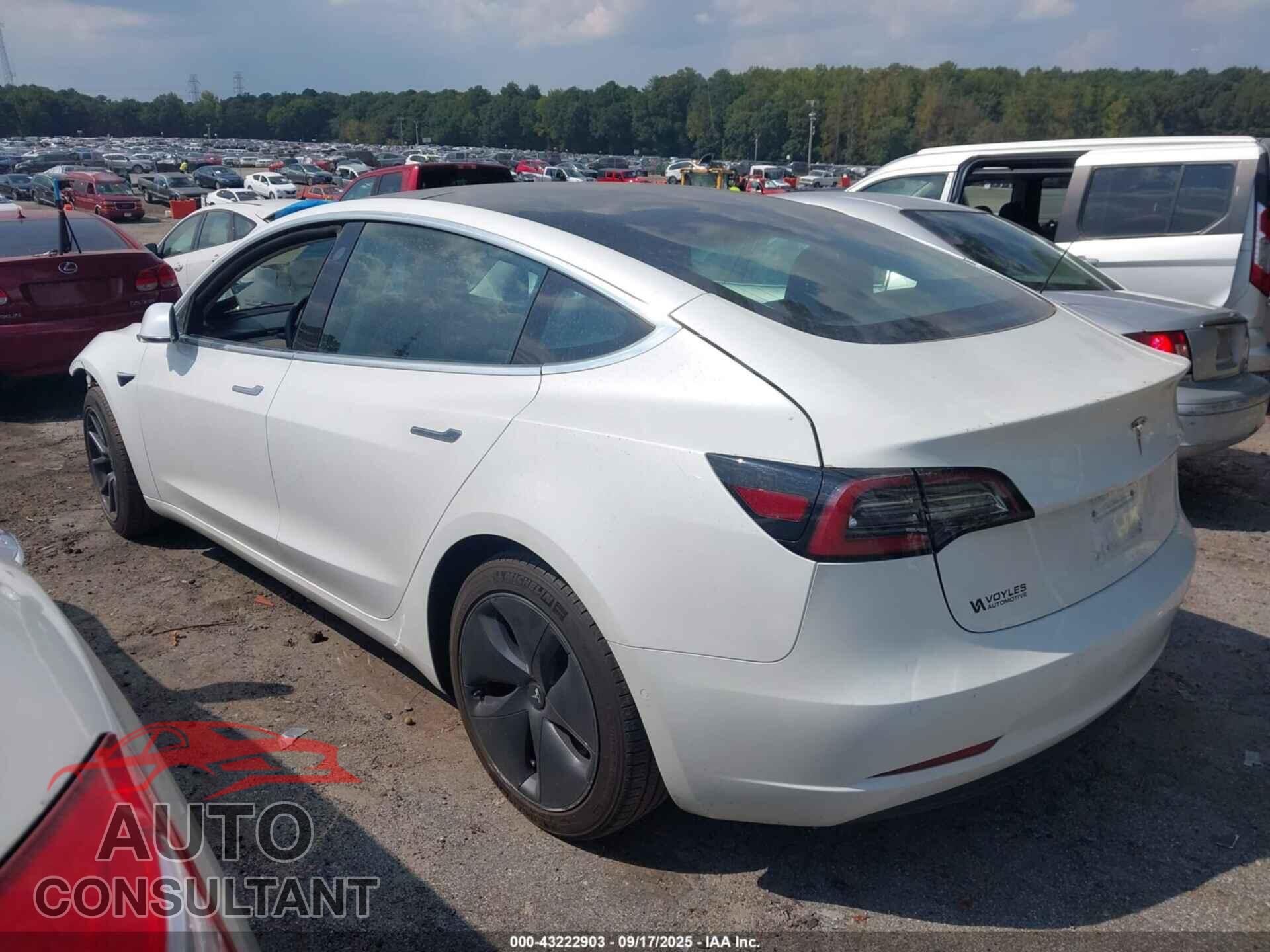TESLA MODEL 3 2019 - 5YJ3E1EA8KF482825