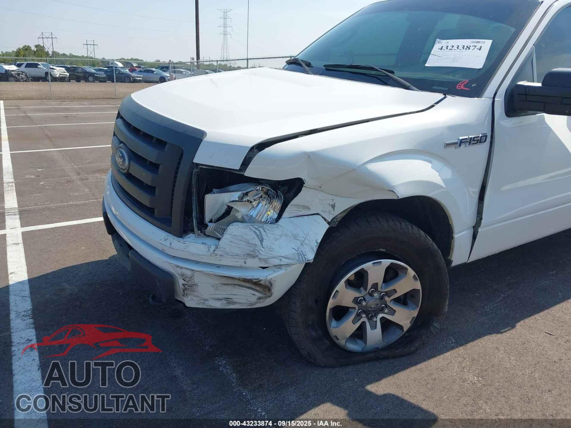 FORD F-150 2011 - 1FTFX1EF8BKD13541