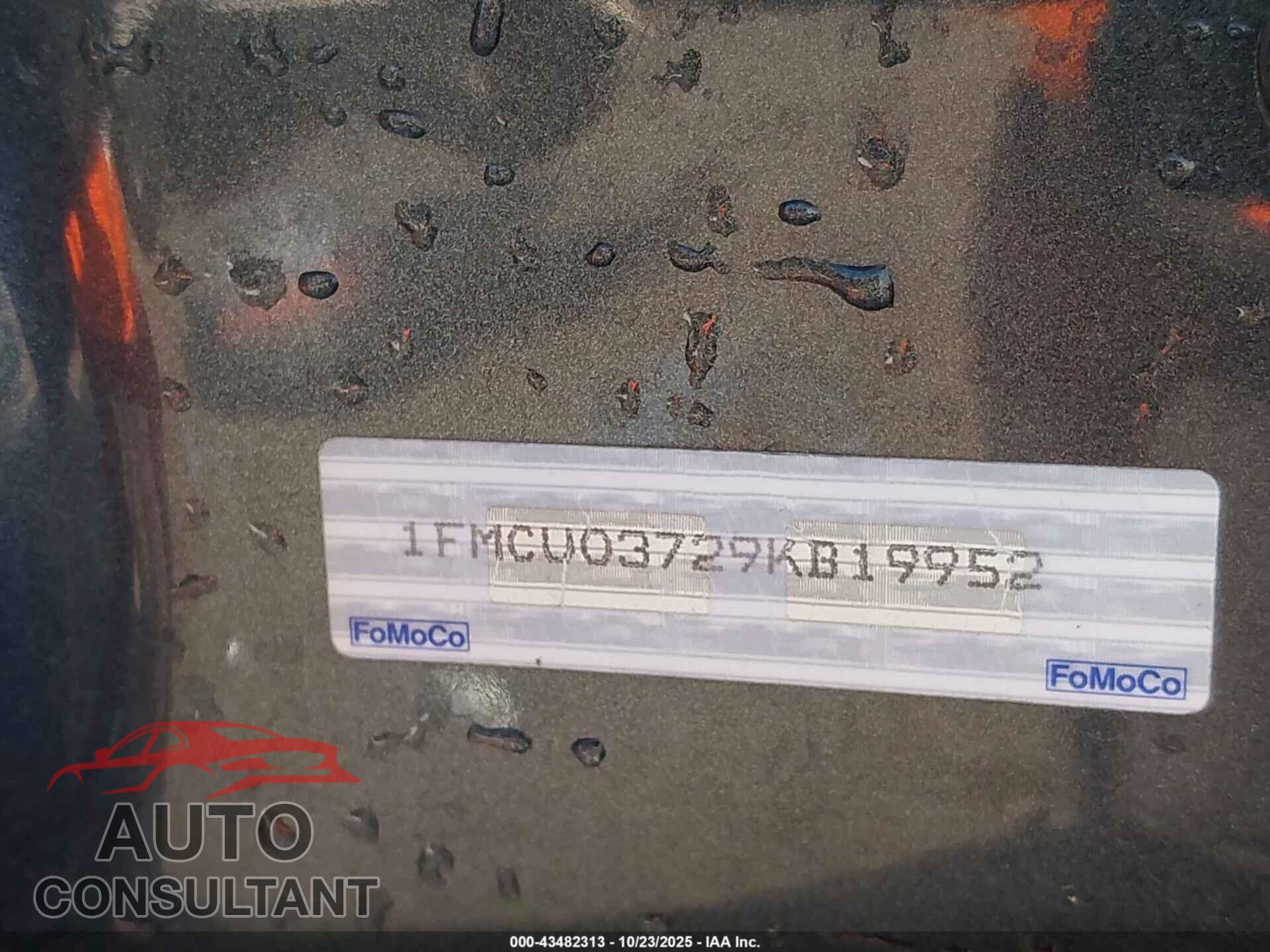 FORD ESCAPE 2009 - 1FMCU03729KB19952
